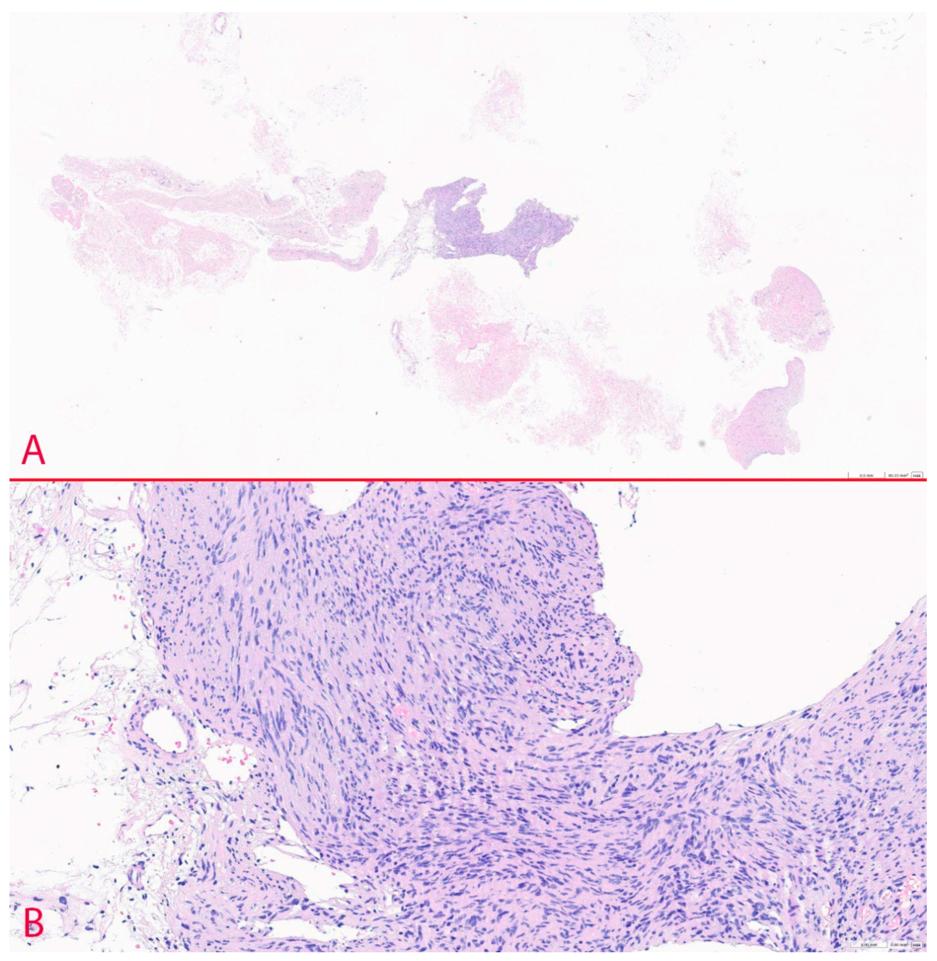 Diagnostics 14 02332 g004 Diagnostics 14 02332 g004