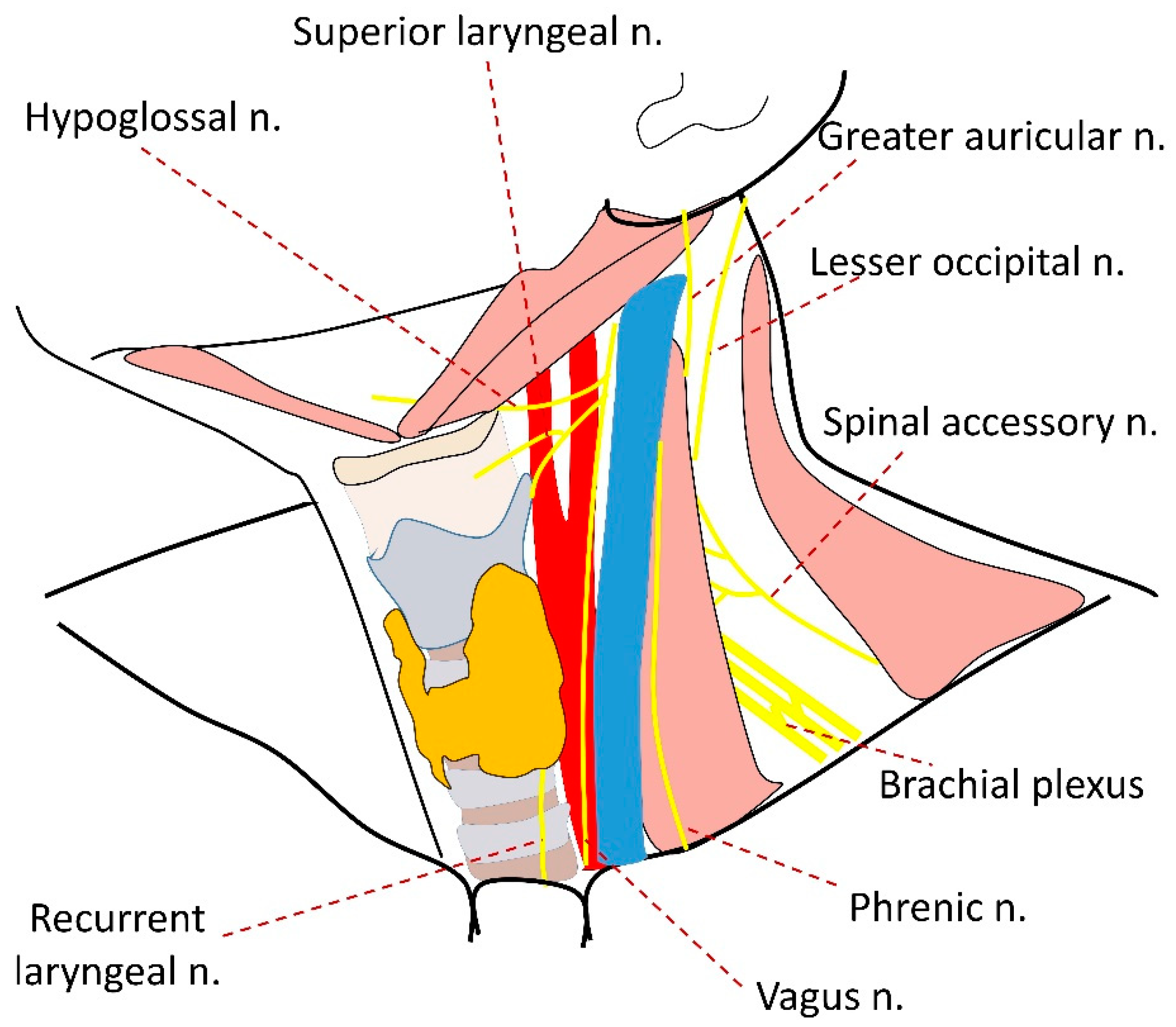 Diagnostics 14 02332 g006 Diagnostics 14 02332 g006