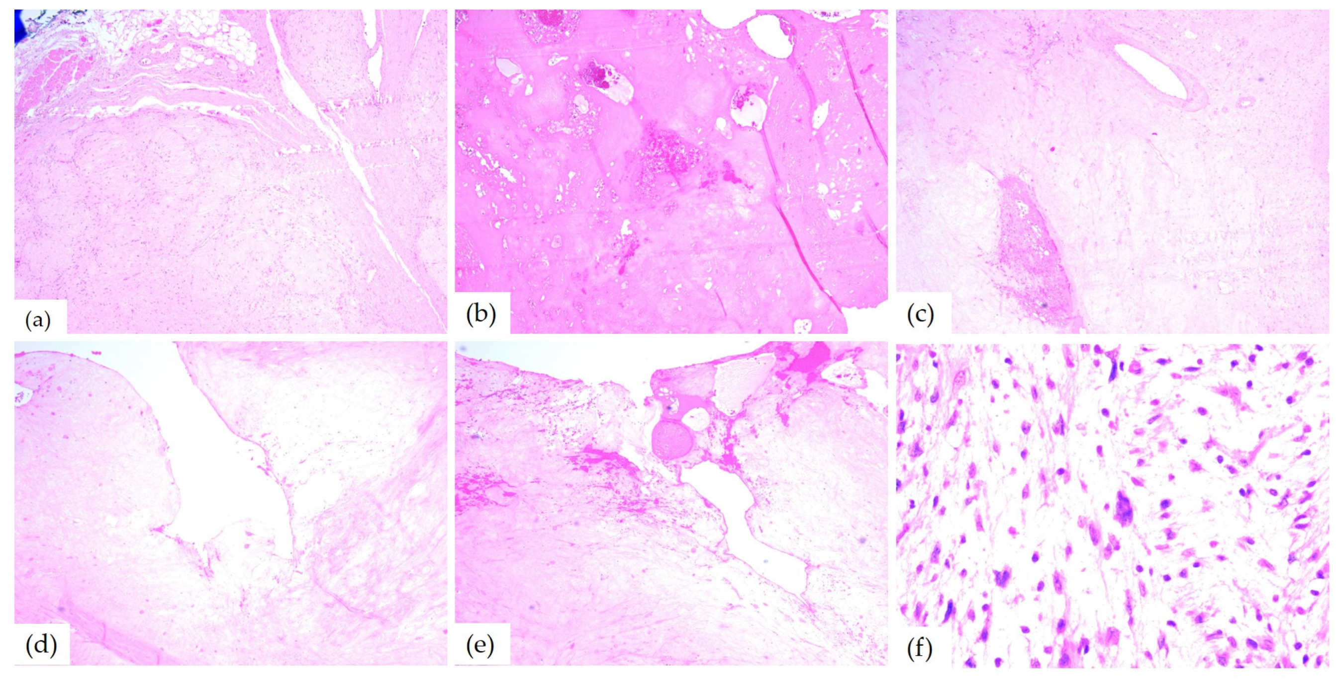 Diagnostics 14 02334 g009