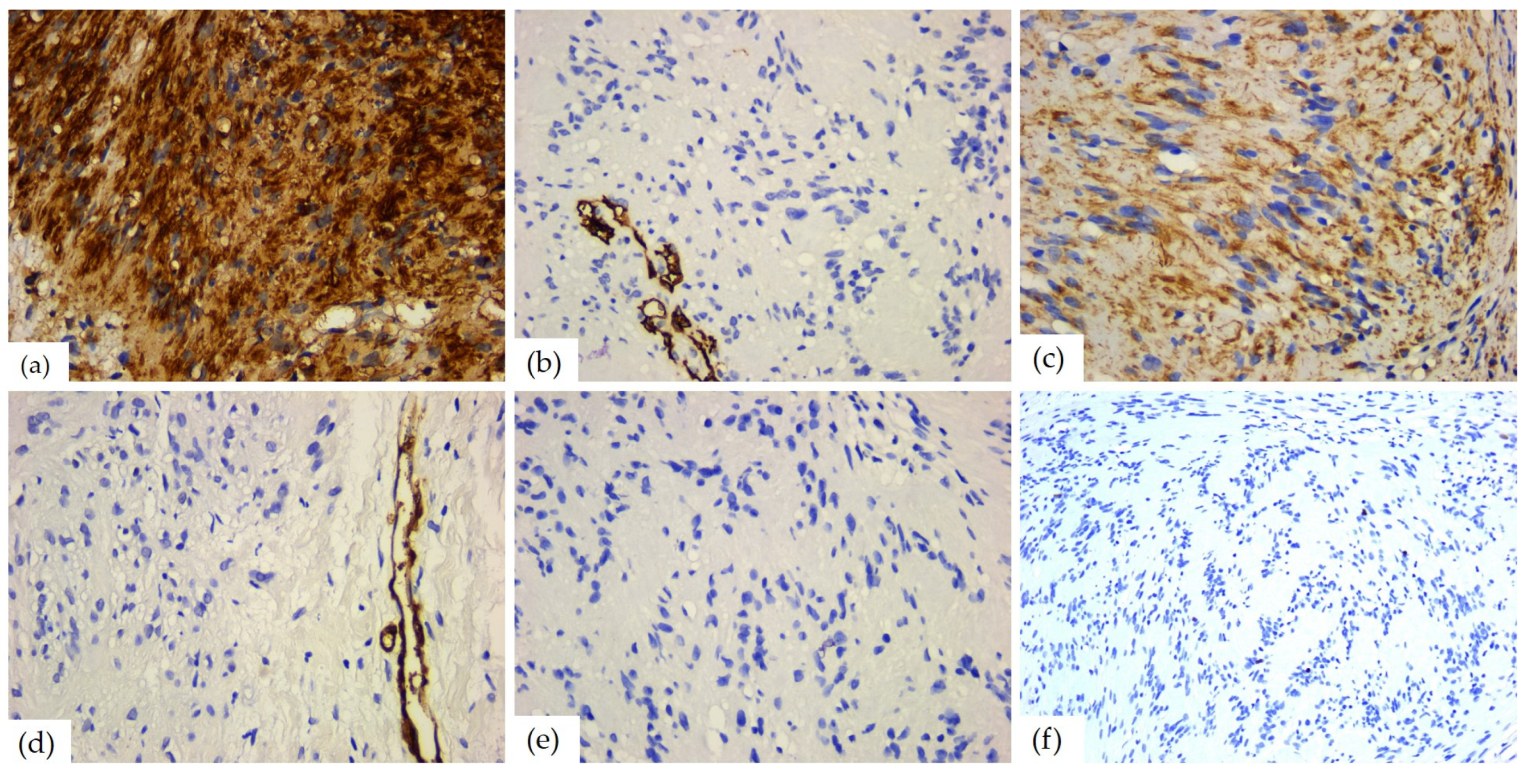 Diagnostics 14 02334 g010