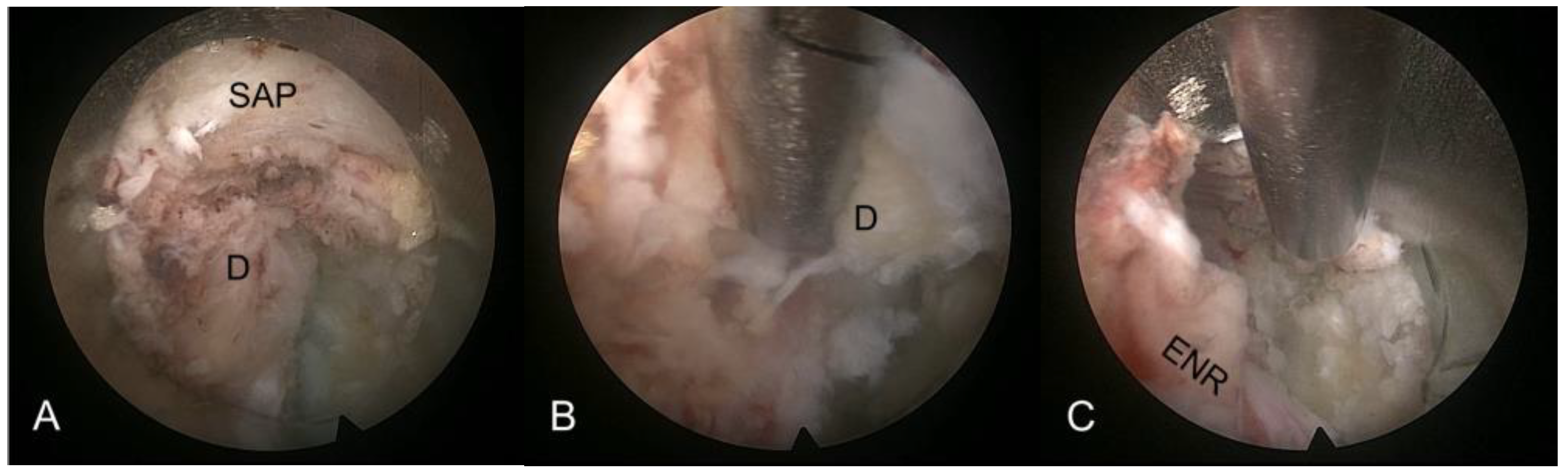 Diagnostics 14 02337 g002