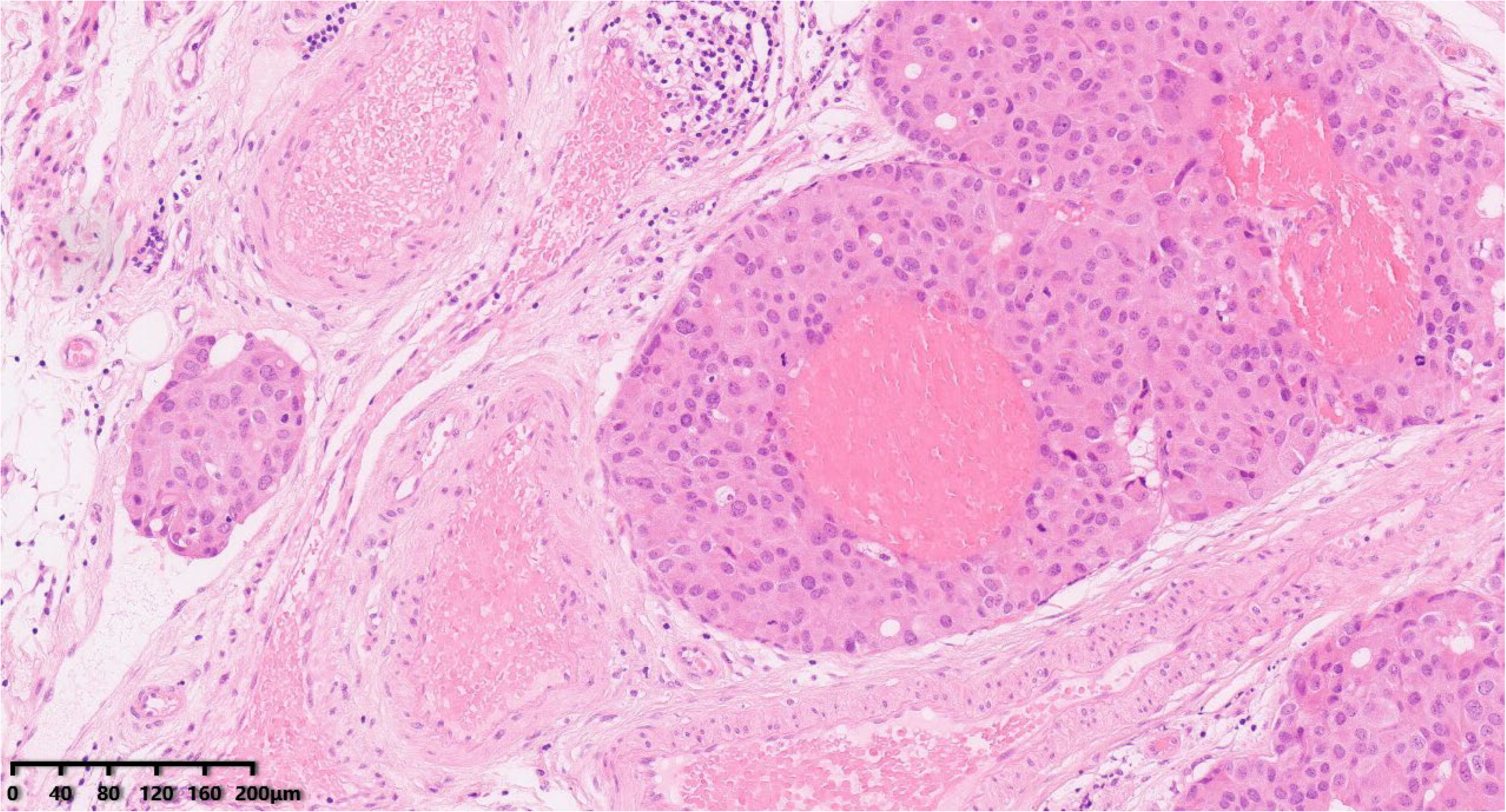 Diagnostics 14 02347 g006