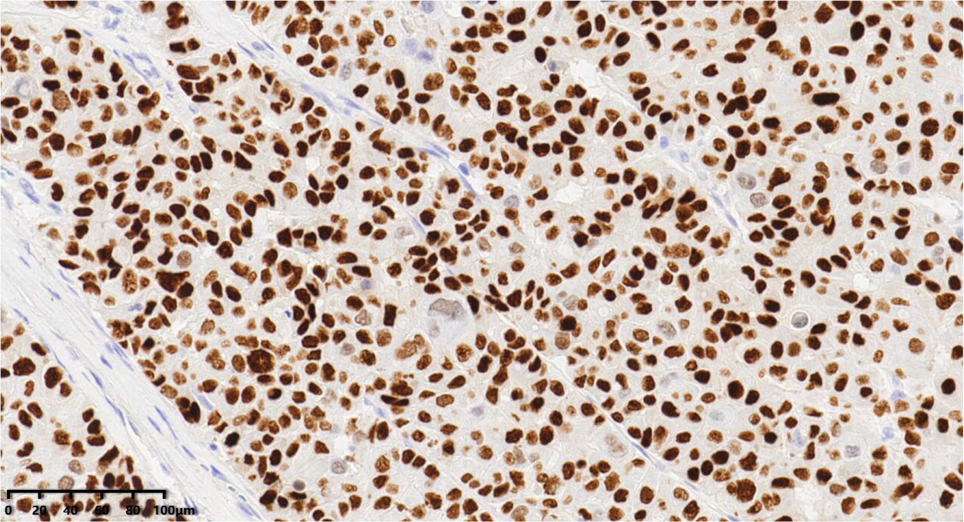 Diagnostics 14 02347 g009