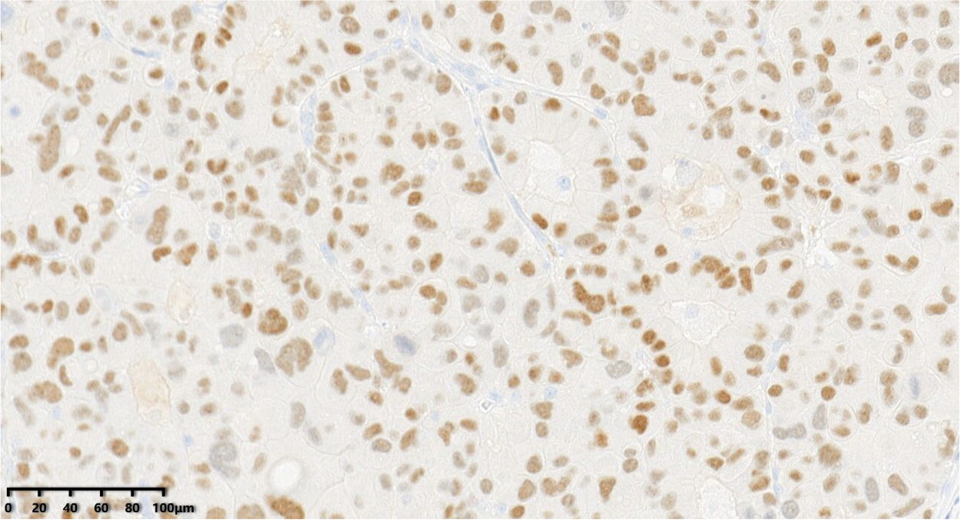 Diagnostics 14 02347 g014