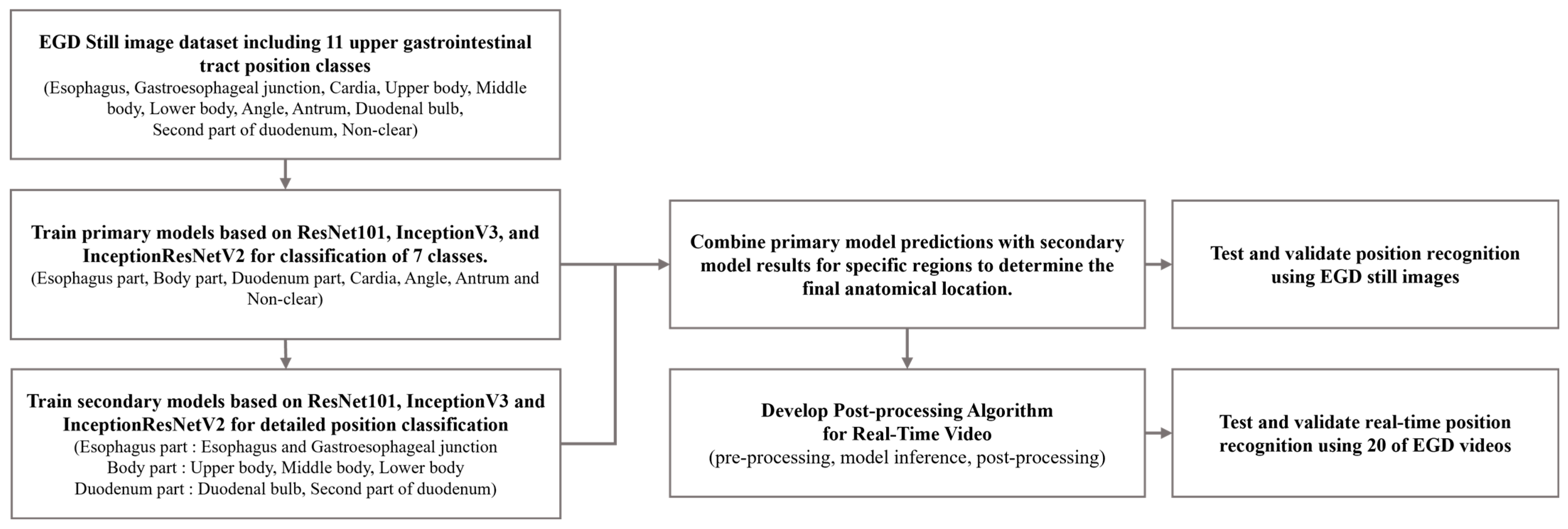 Diagnostics 14 02360 g001