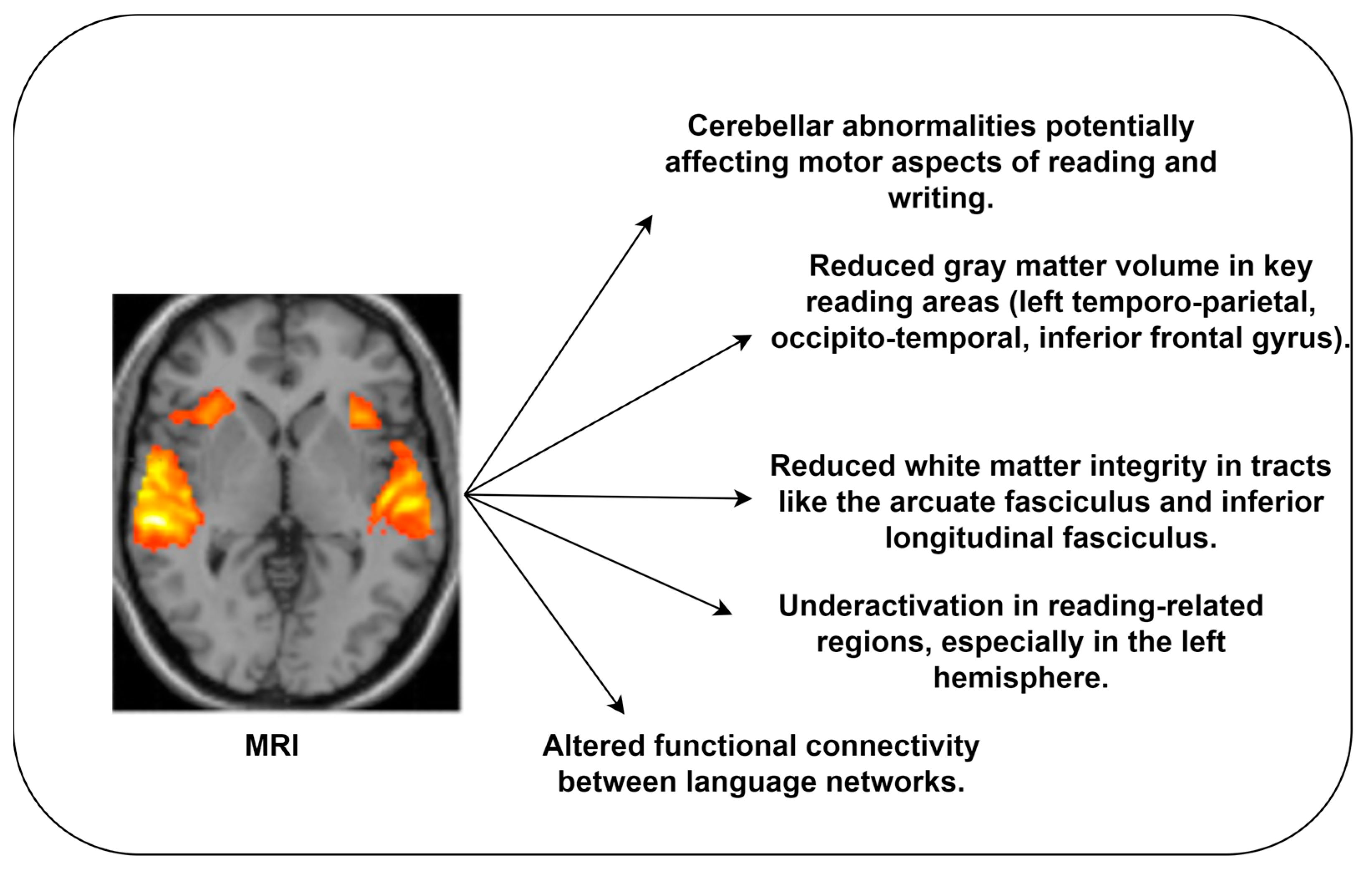Diagnostics 14 02362 g007 Diagnostics 14 02362 g007