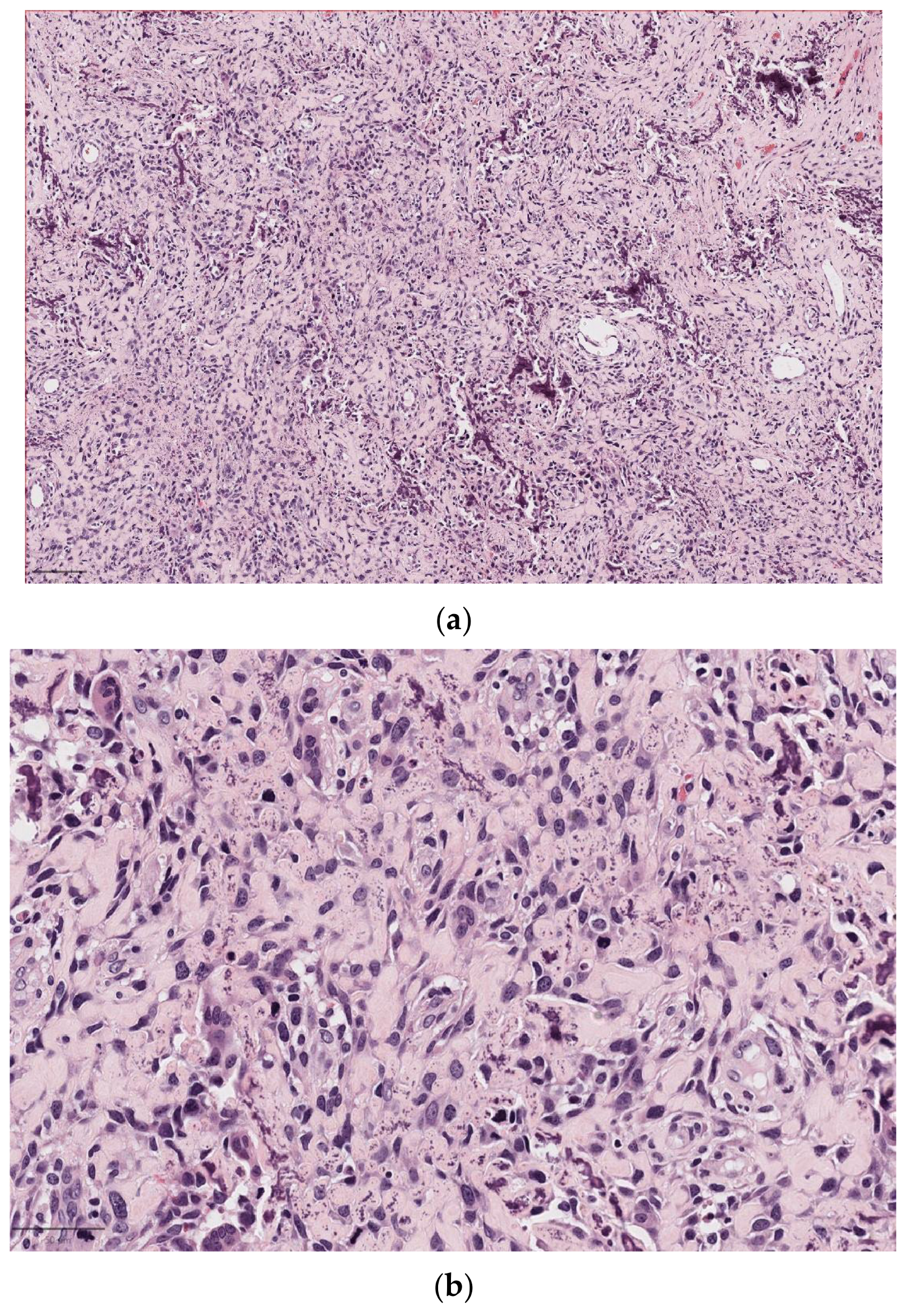 Diagnostics 14 02365 g007 Diagnostics 14 02365 g007