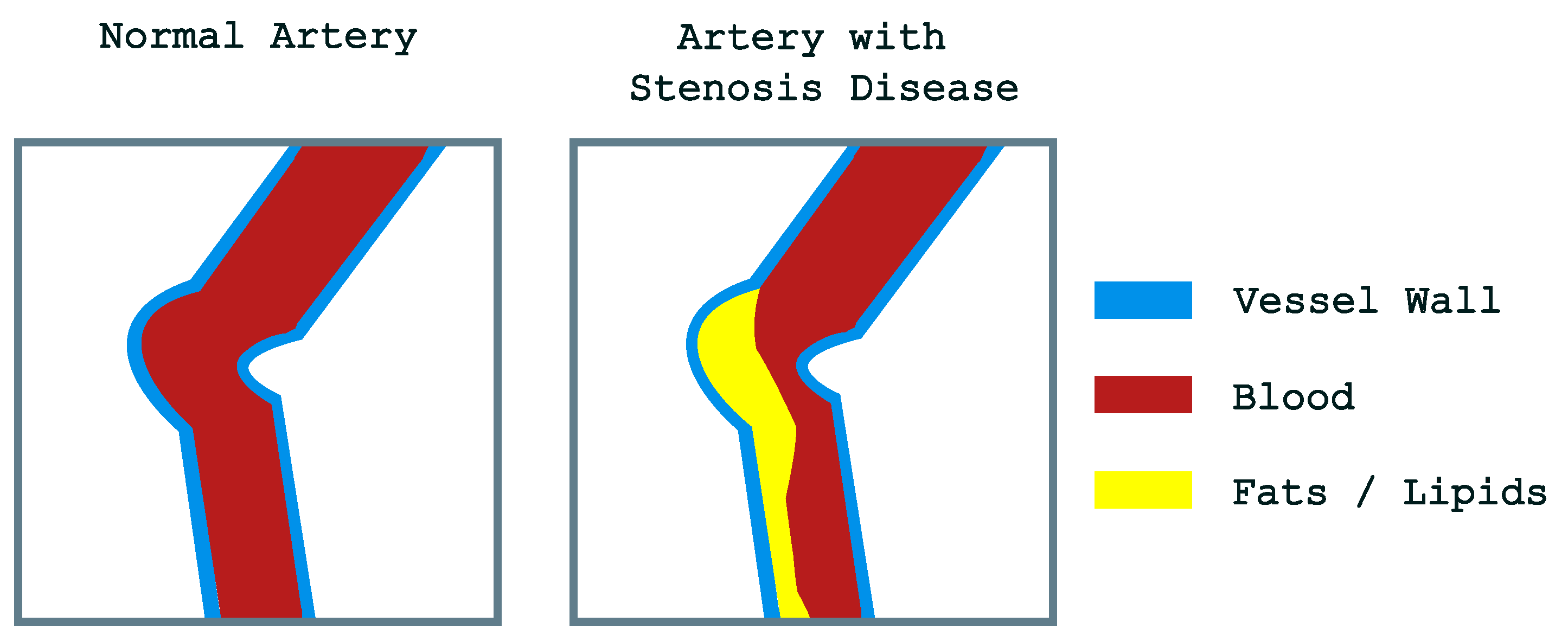 Diagnostics 14 02372 g001