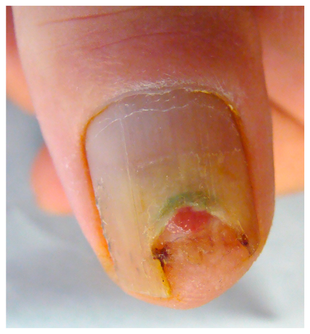 Diagnostics 14 02379 g005