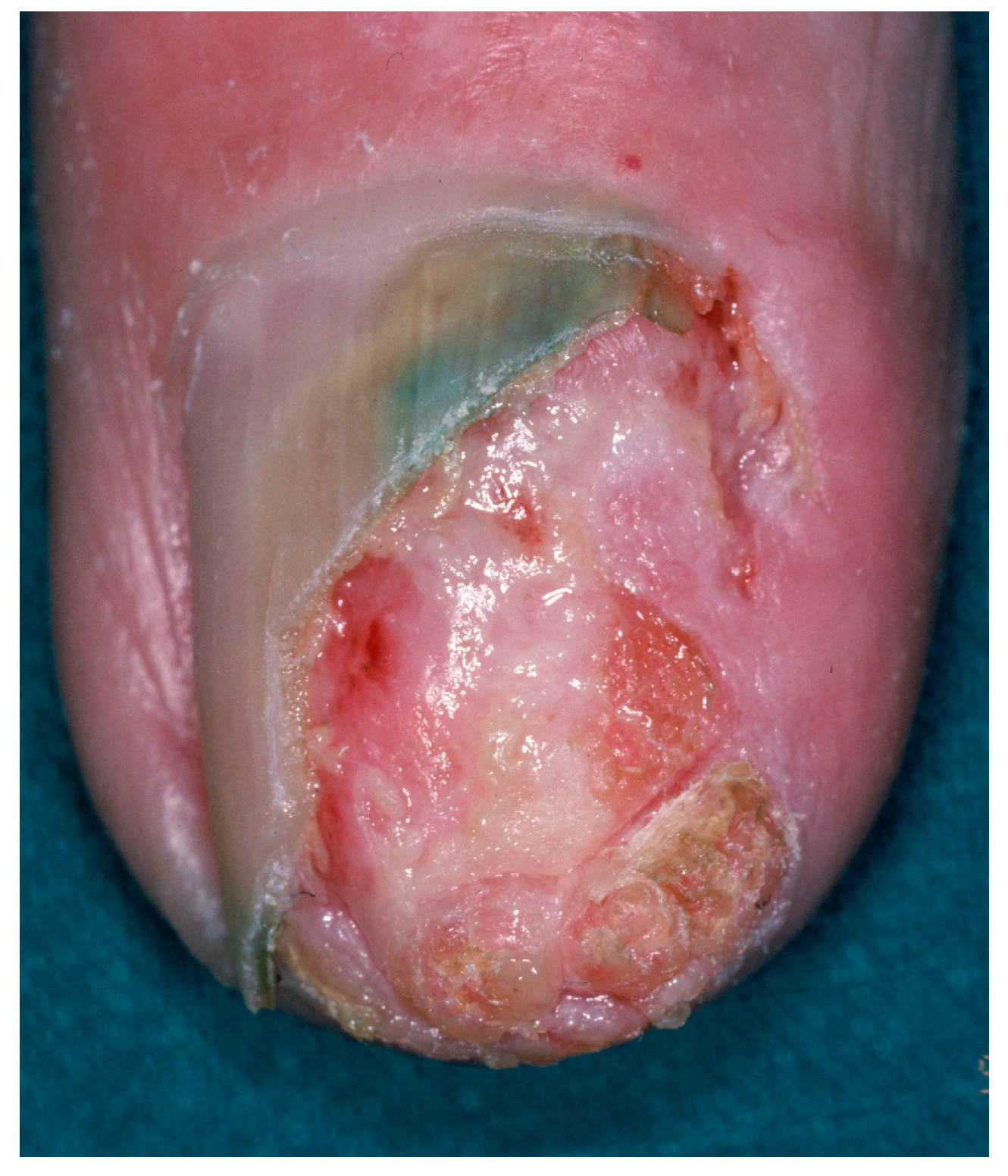 Diagnostics 14 02379 g006