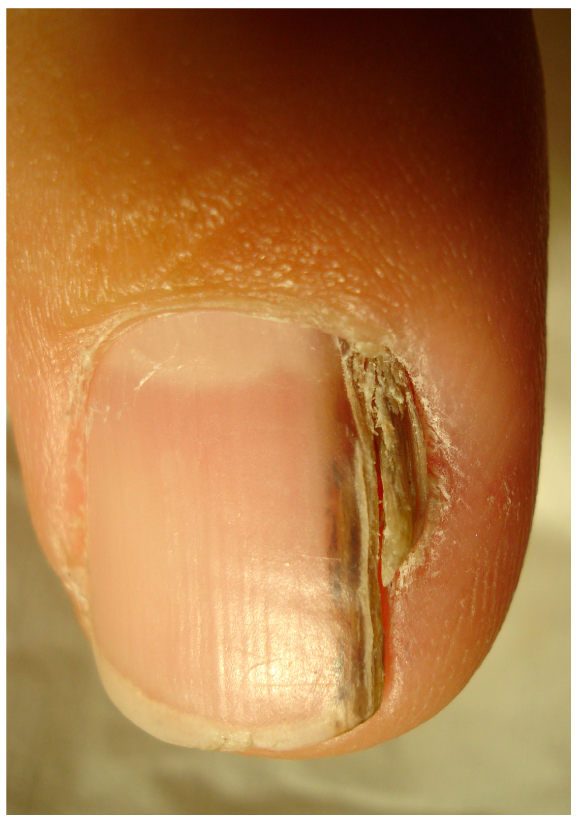 Diagnostics 14 02379 g008