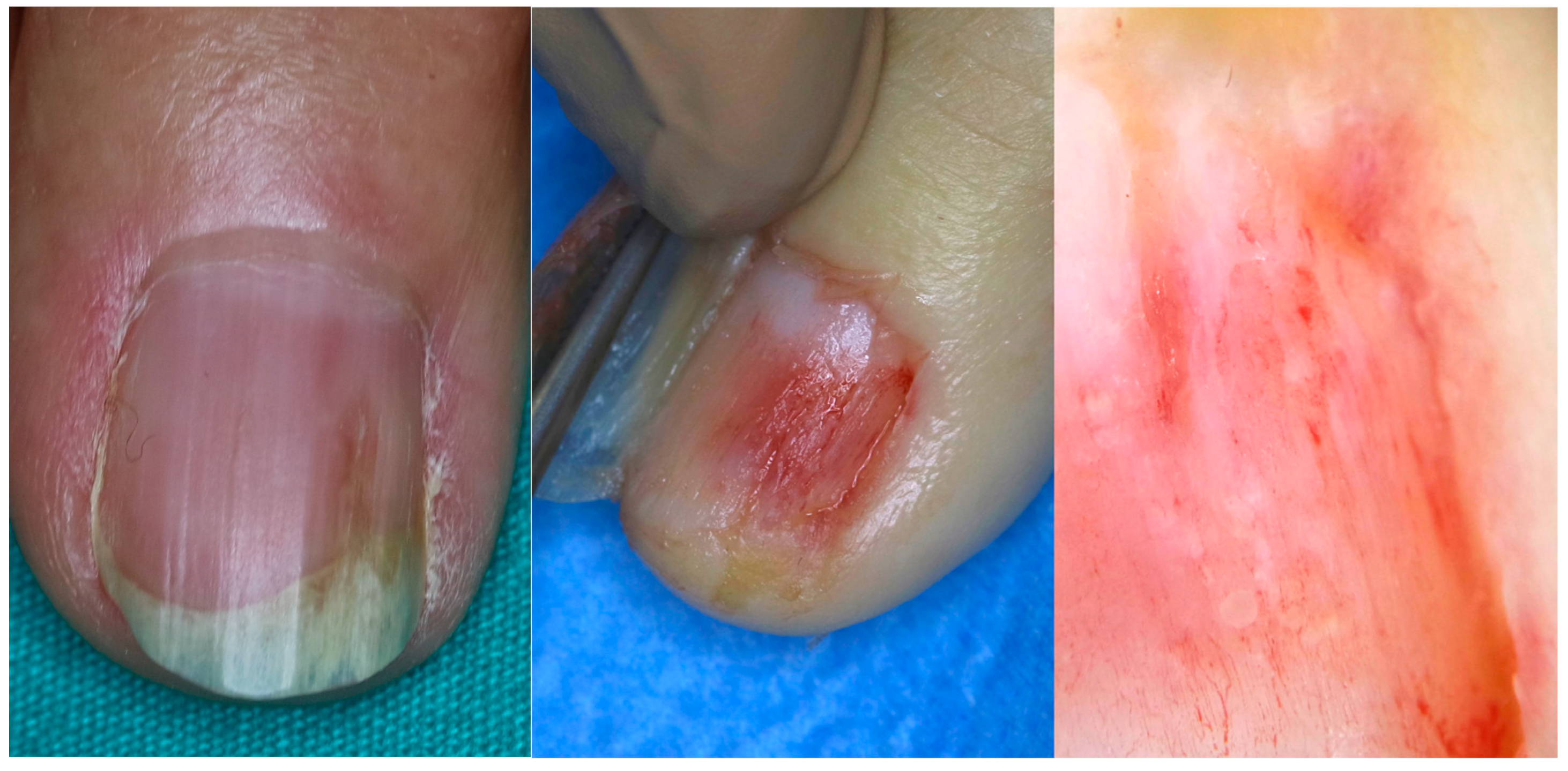 Diagnostics 14 02379 g009