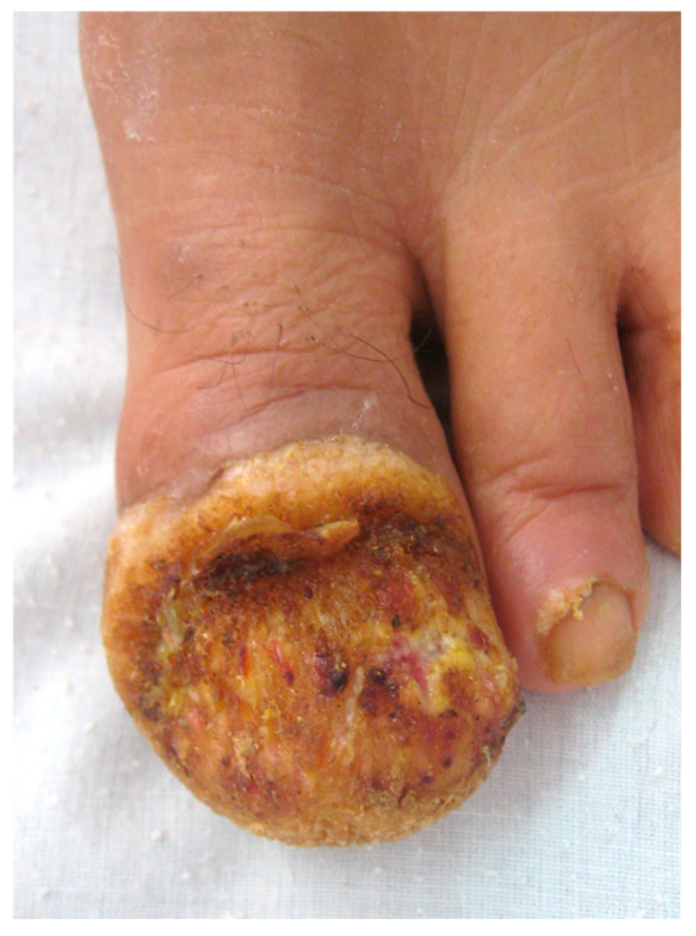 Diagnostics 14 02379 g010