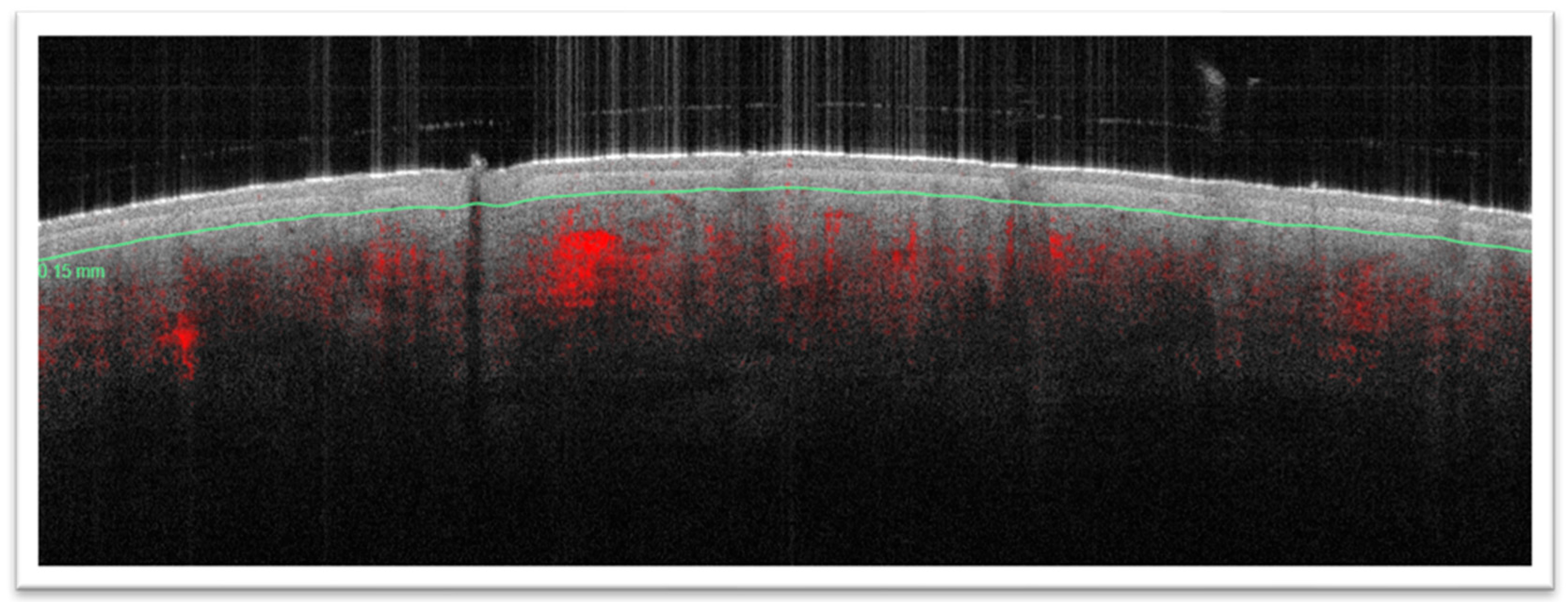 Diagnostics 14 02381 g003