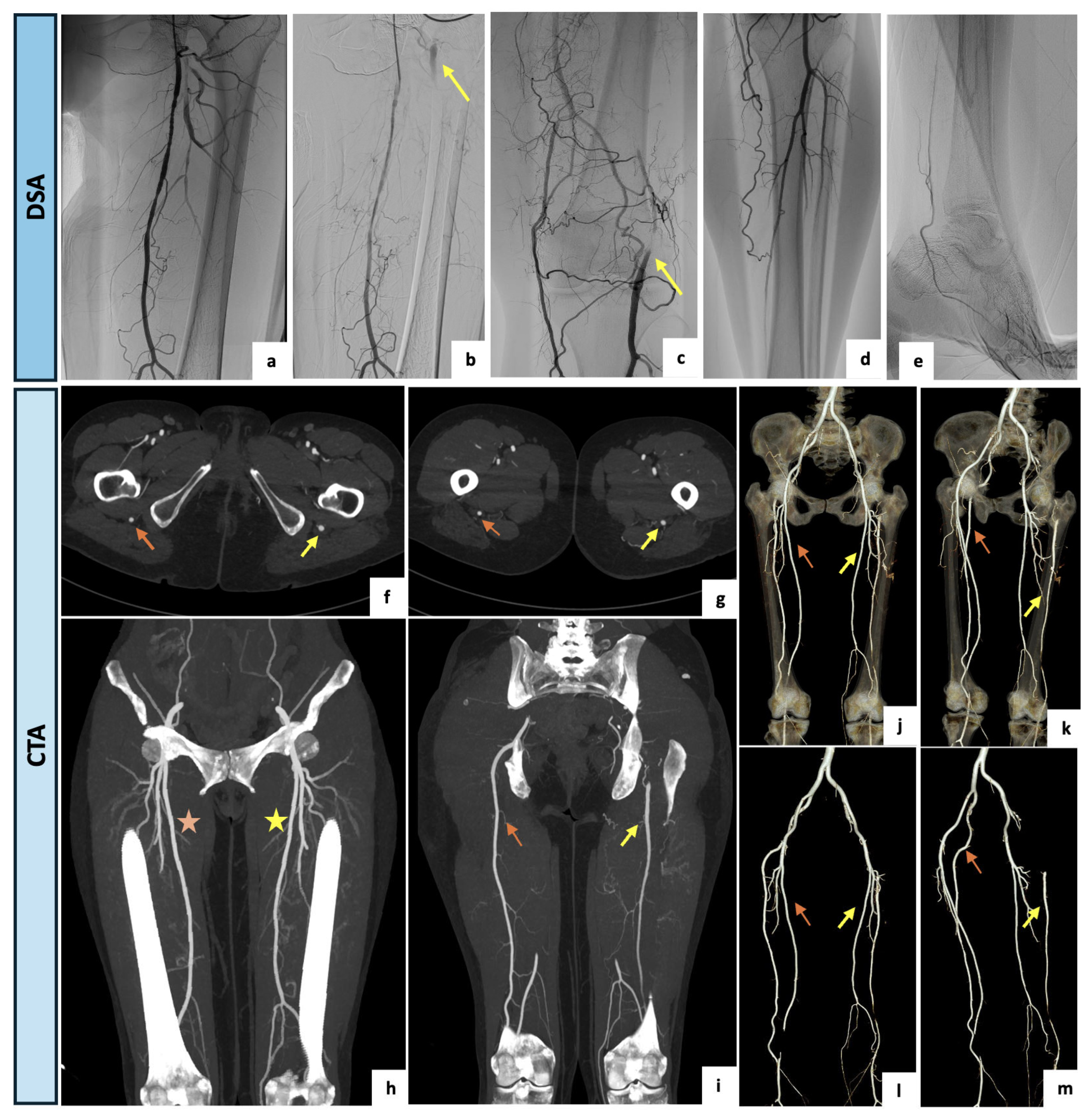 Diagnostics 14 02383 g005