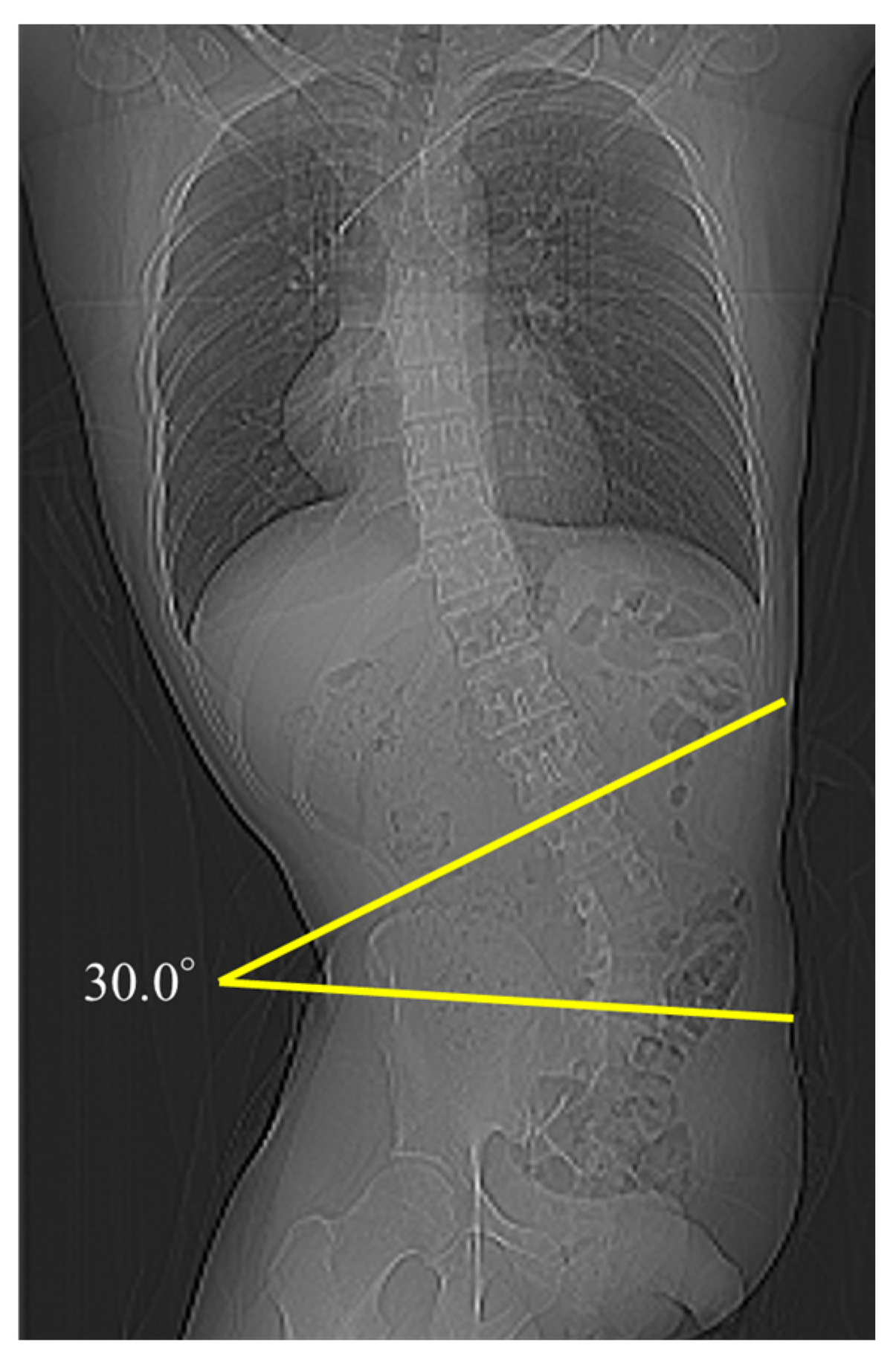 Diagnostics 14 02392 g001