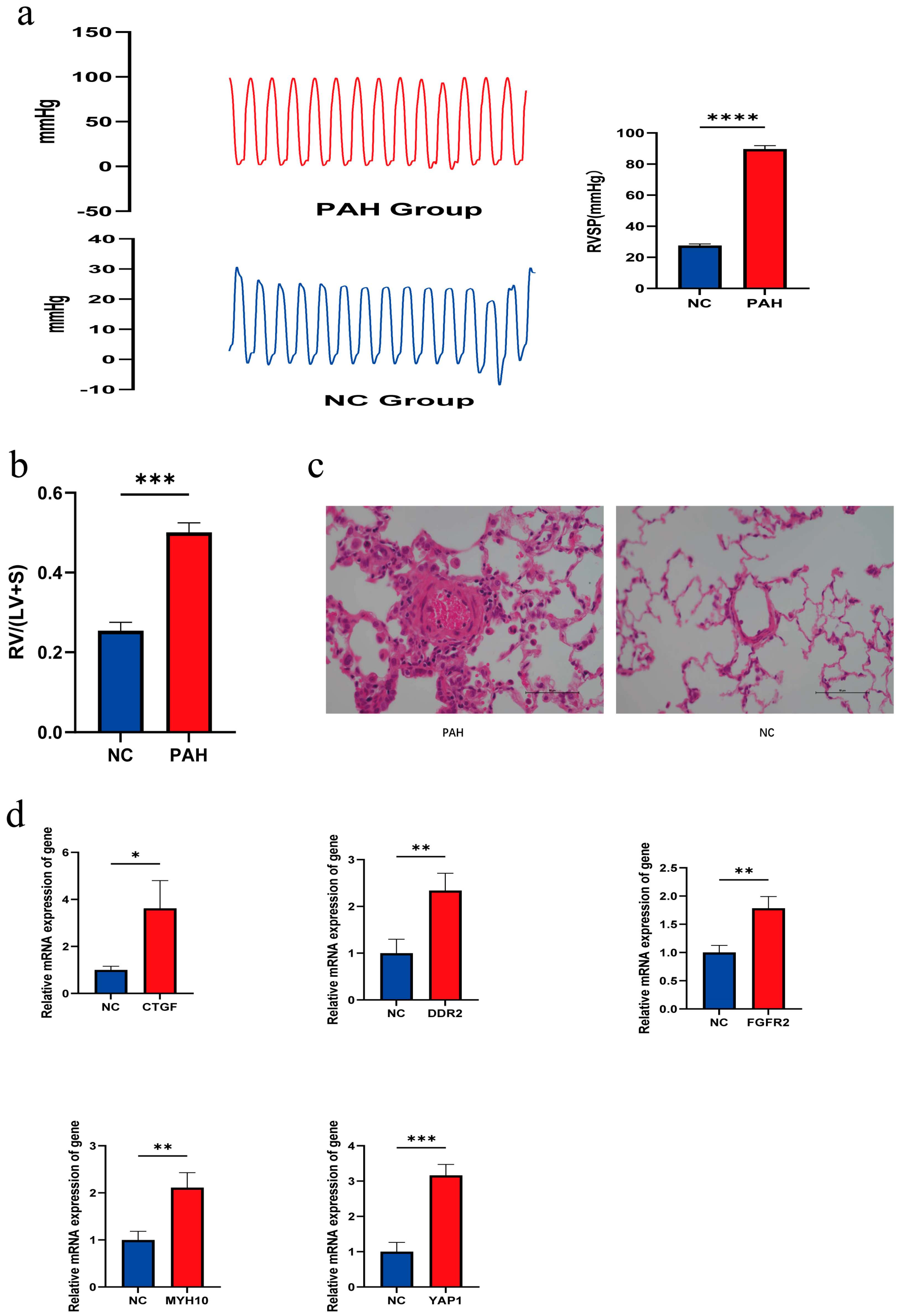 Diagnostics 14 02398 g007