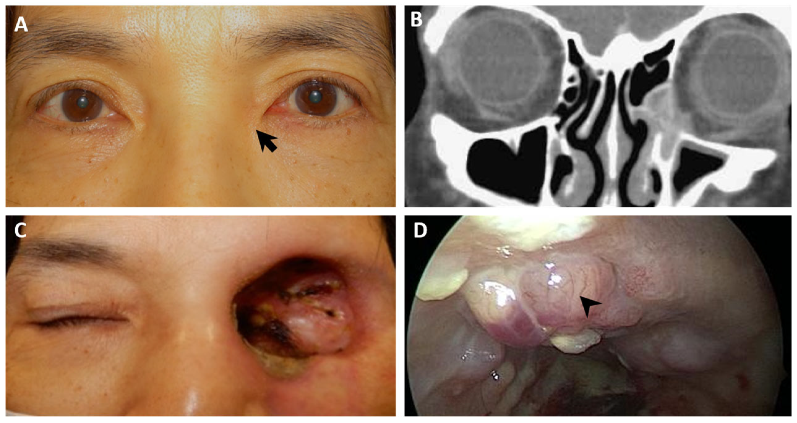 Diagnostics 14 02401 g003