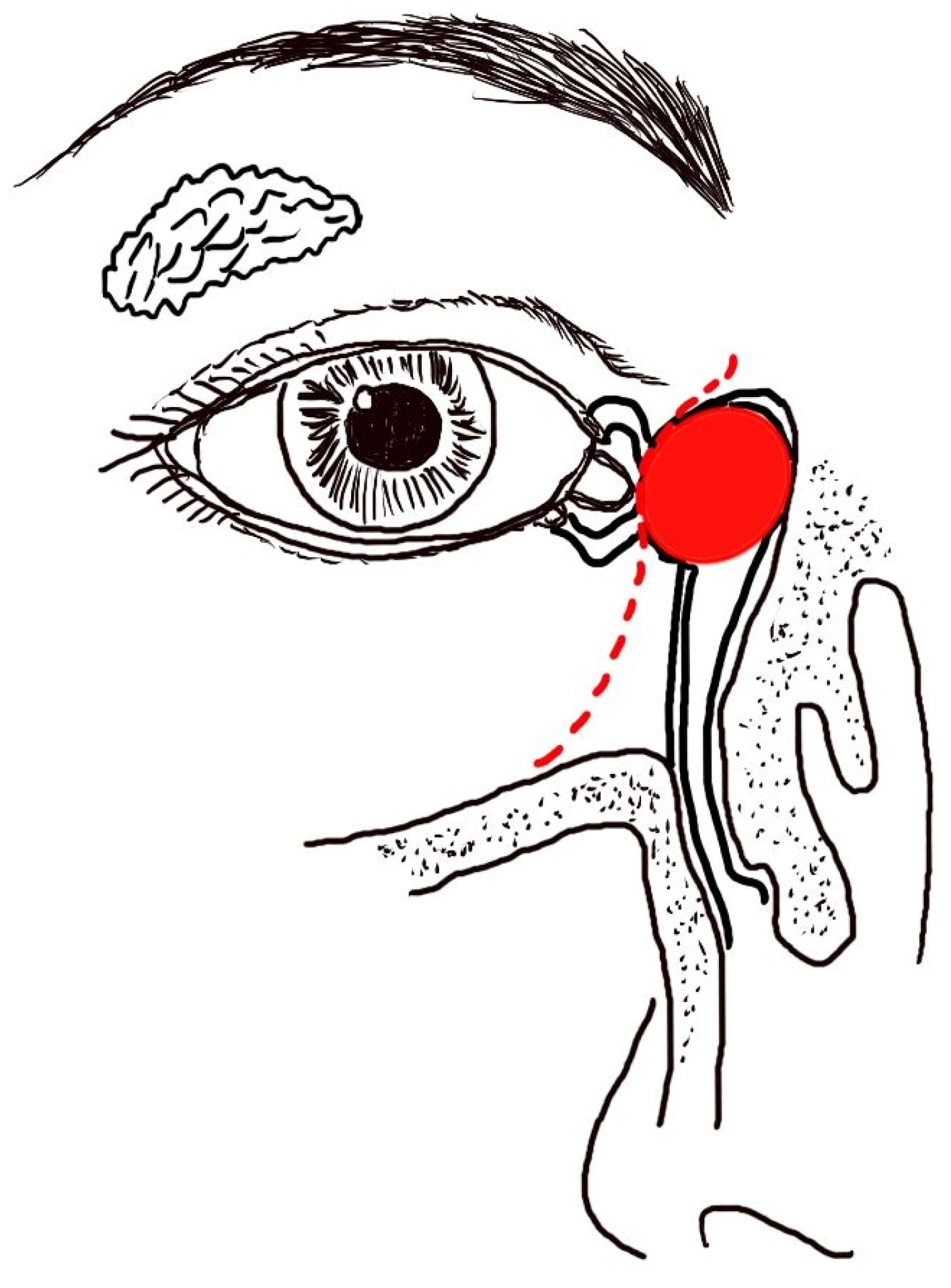 Diagnostics 14 02401 g005