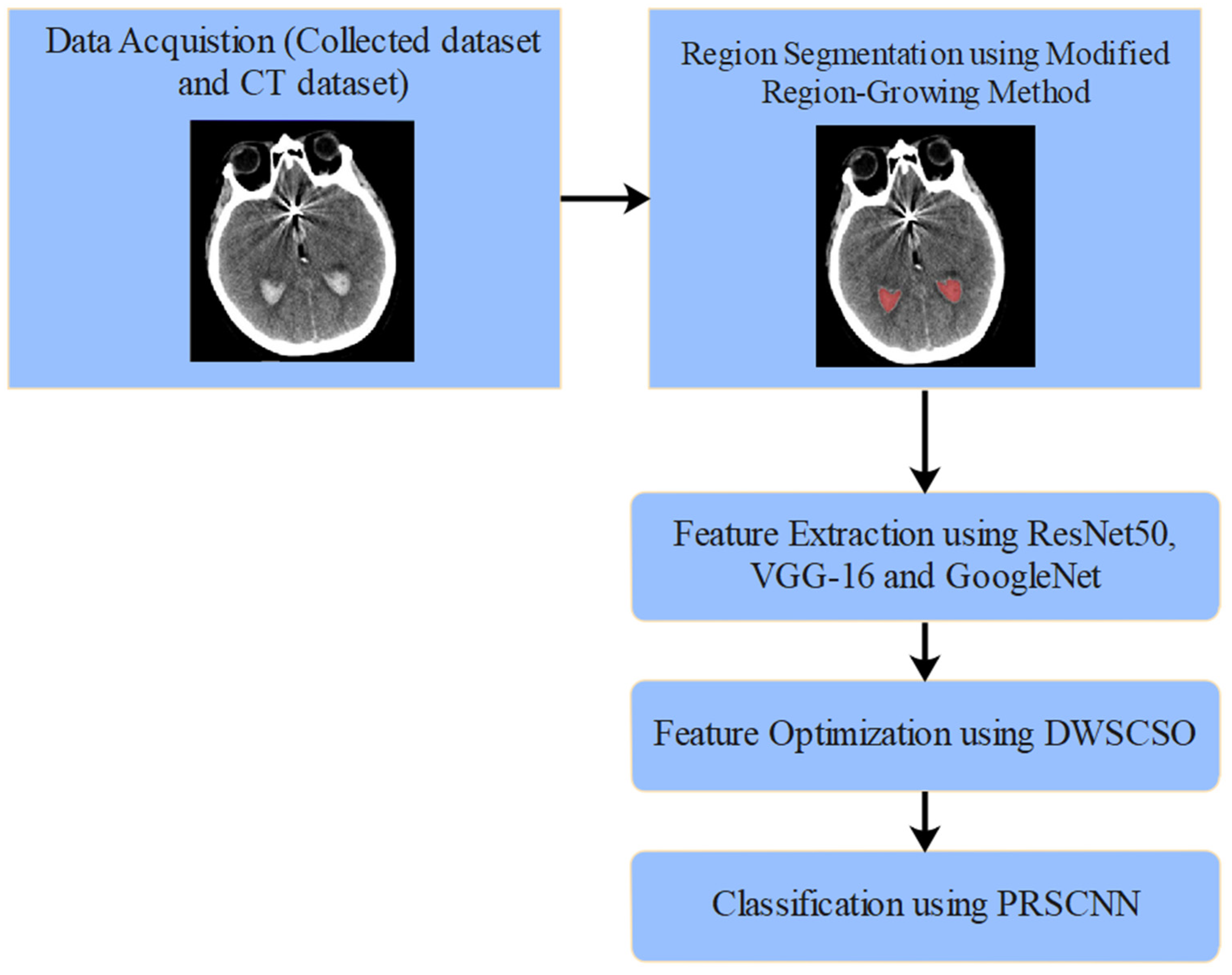 Diagnostics 14 02417 g001