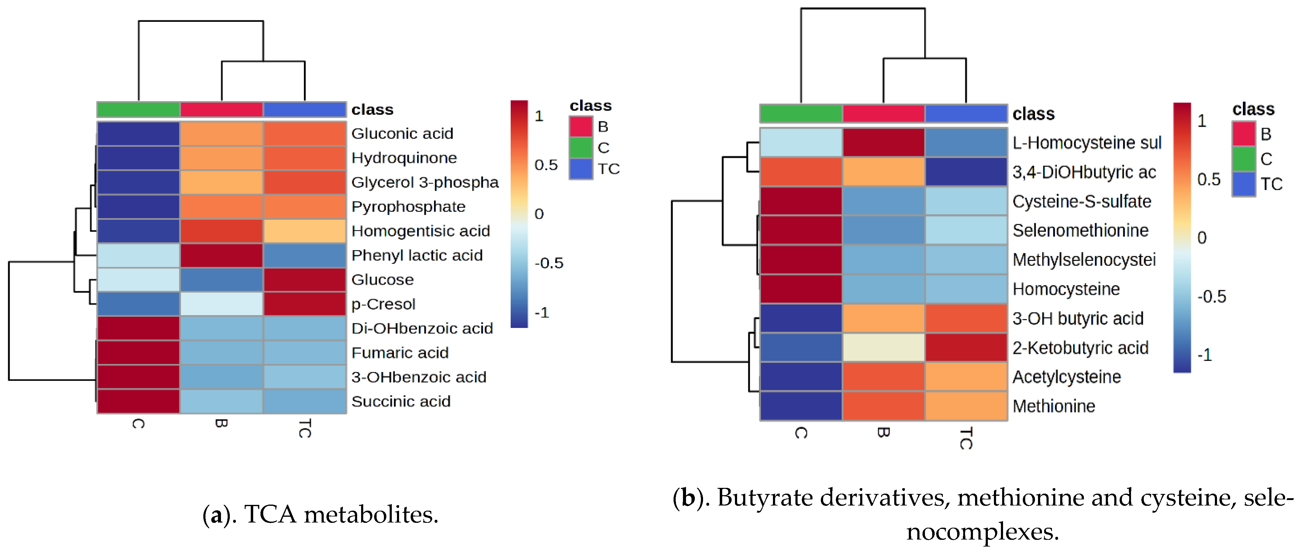 Diagnostics 14 02421 g005a