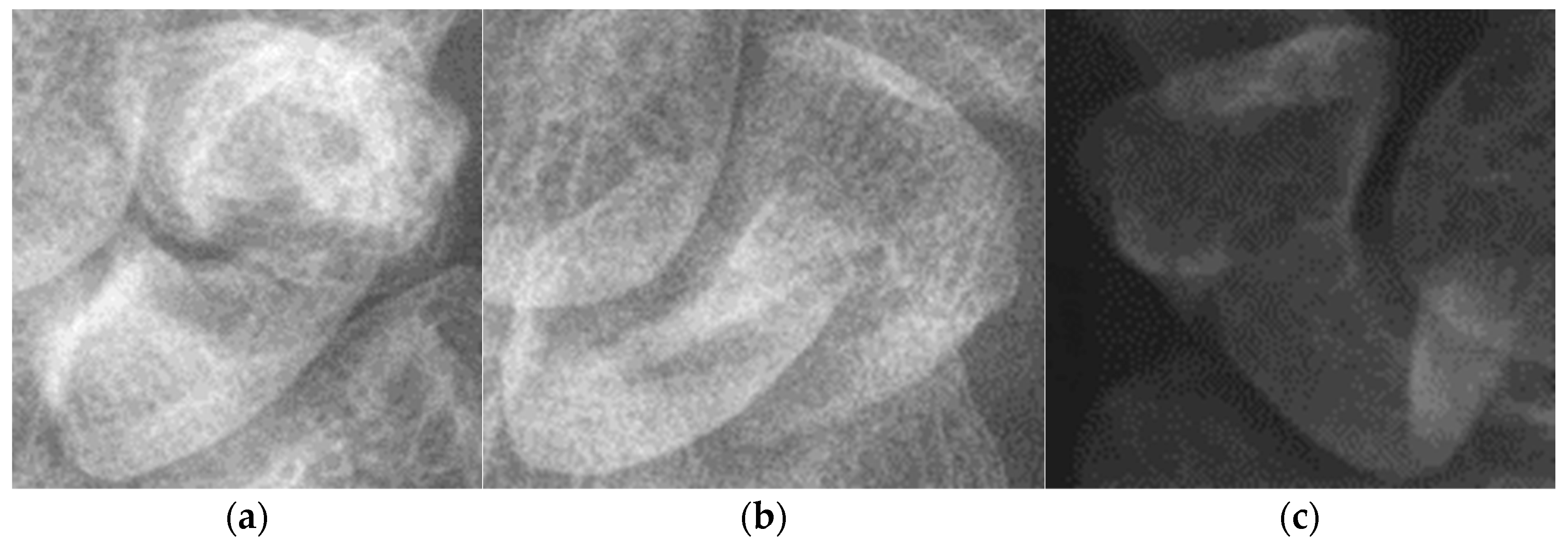 Diagnostics 14 02425 g012