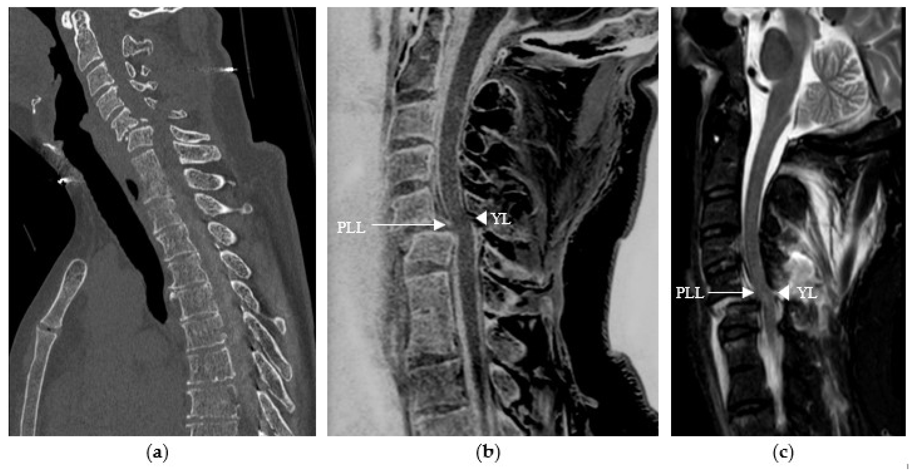 Diagnostics 14 02434 g003