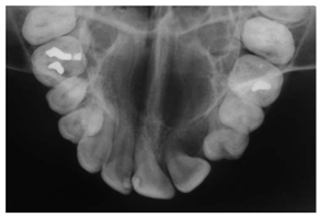 Diagnostics 14 02442 i002