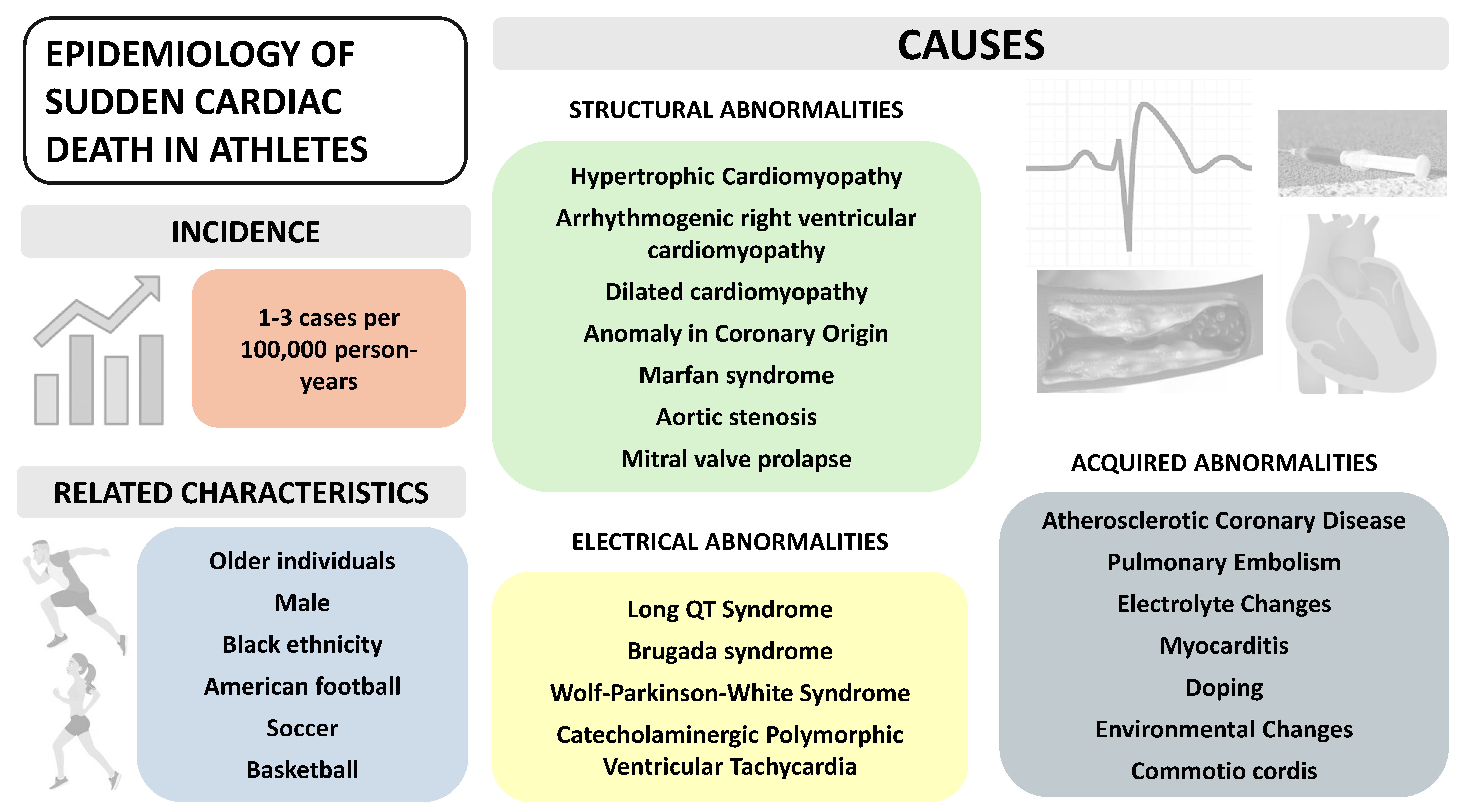 Diagnostics 14 02445 g001