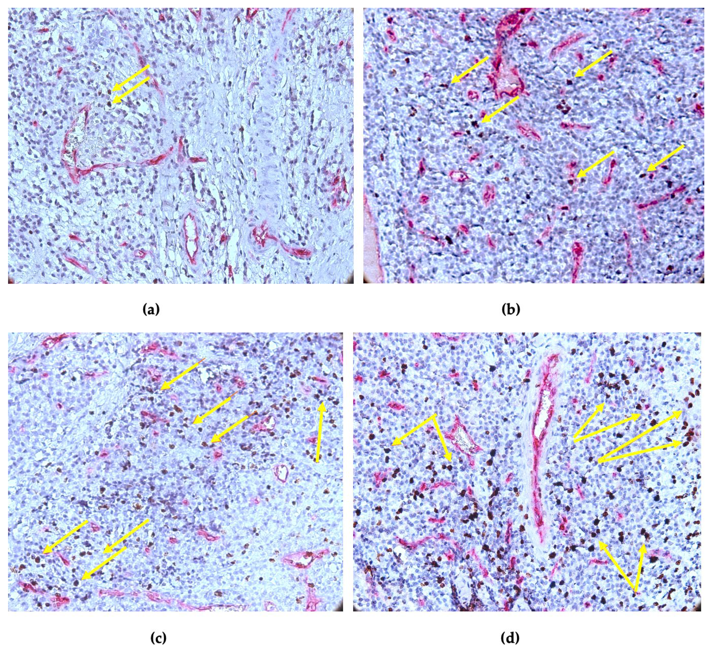 Diagnostics 14 02446 g003