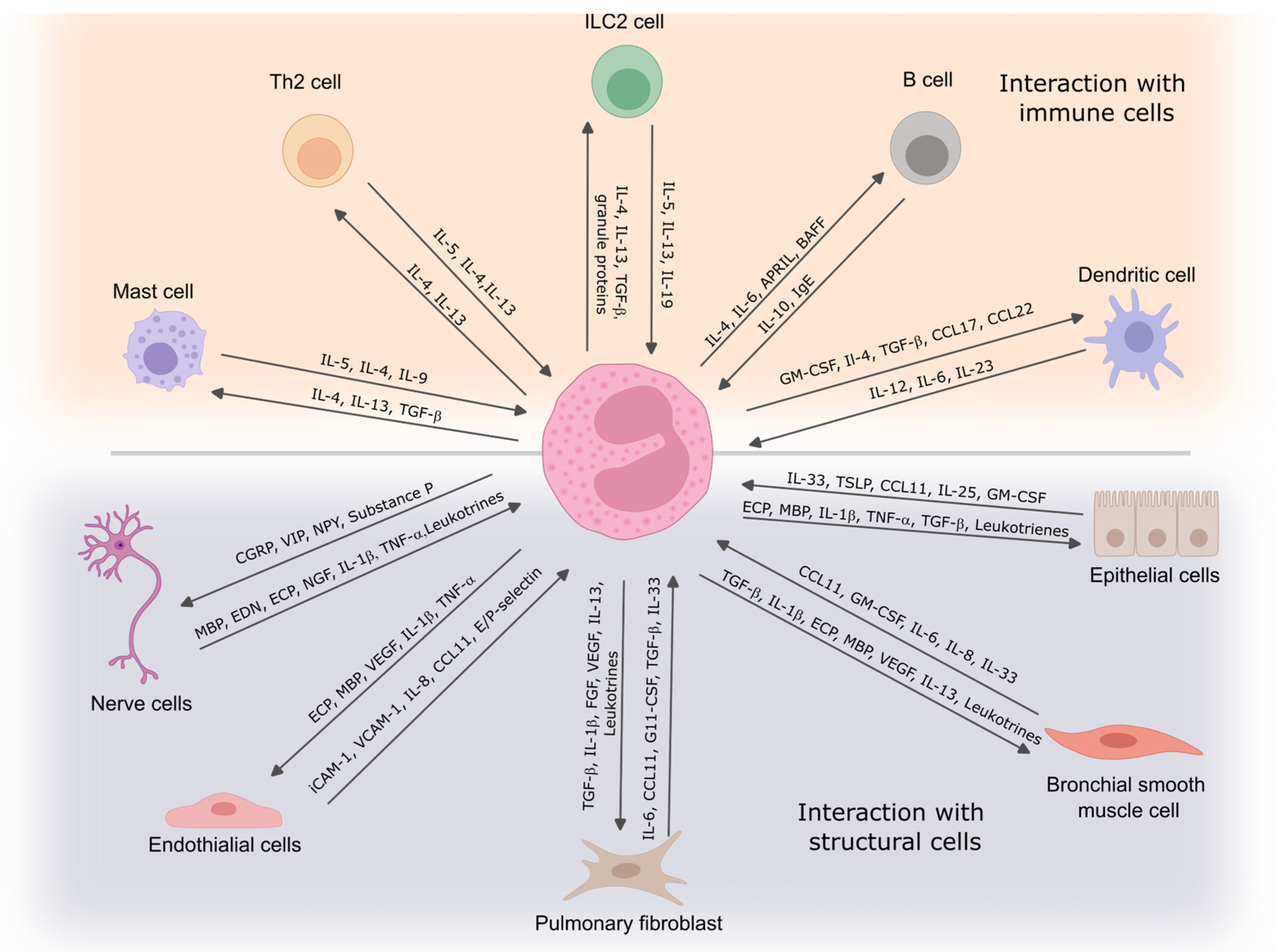 Diagnostics 14 02448 g002