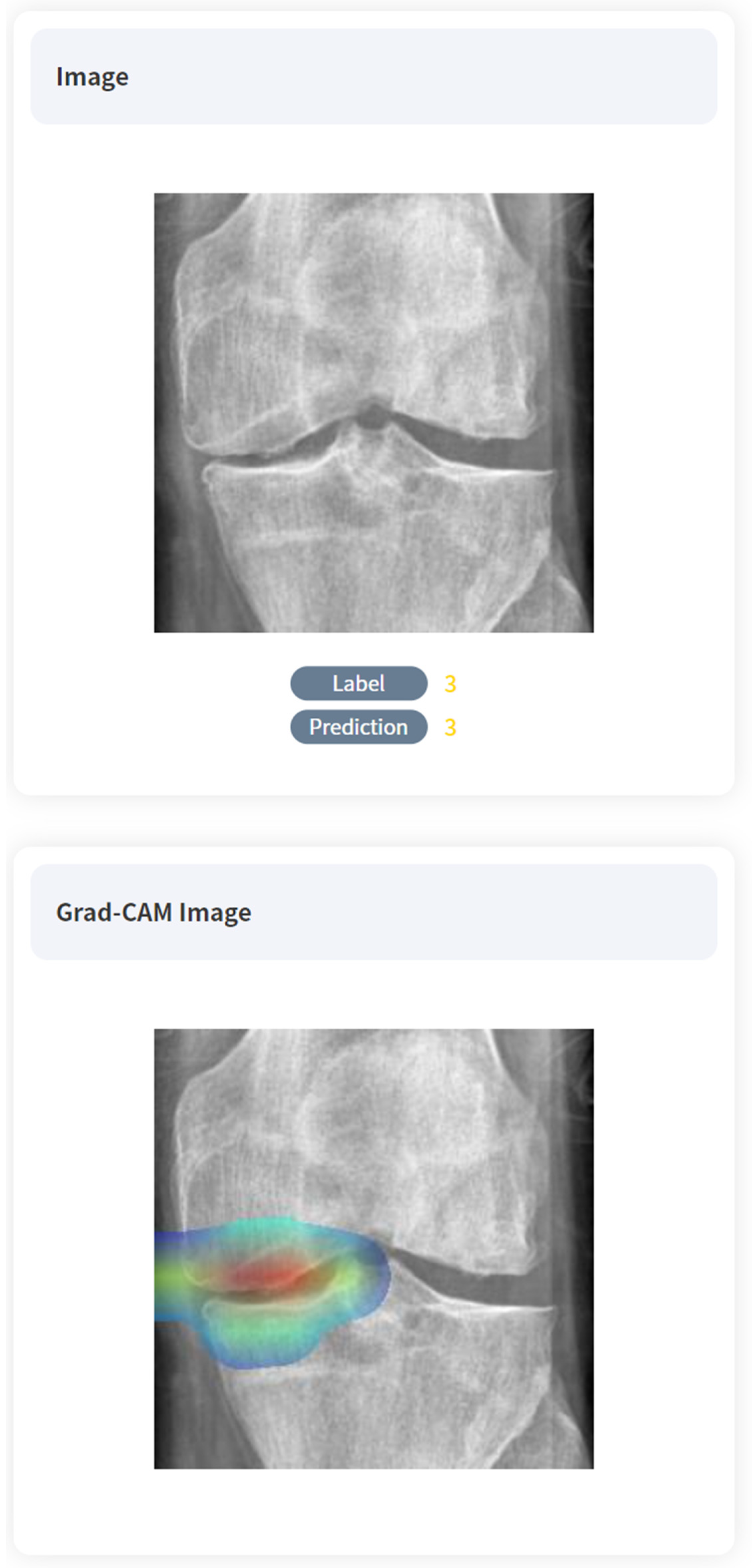 Diagnostics 14 02451 g004