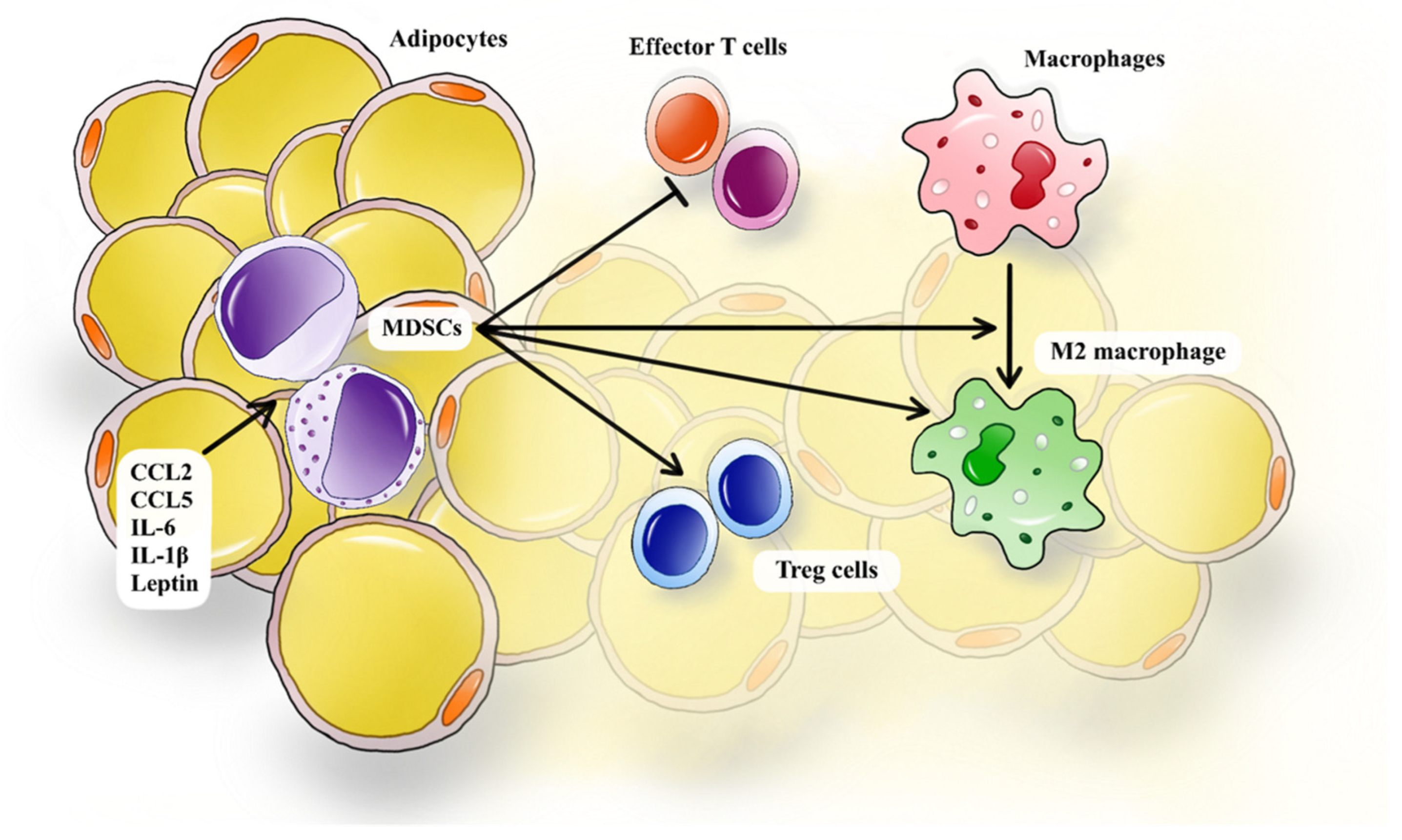 Diagnostics 14 02453 g001