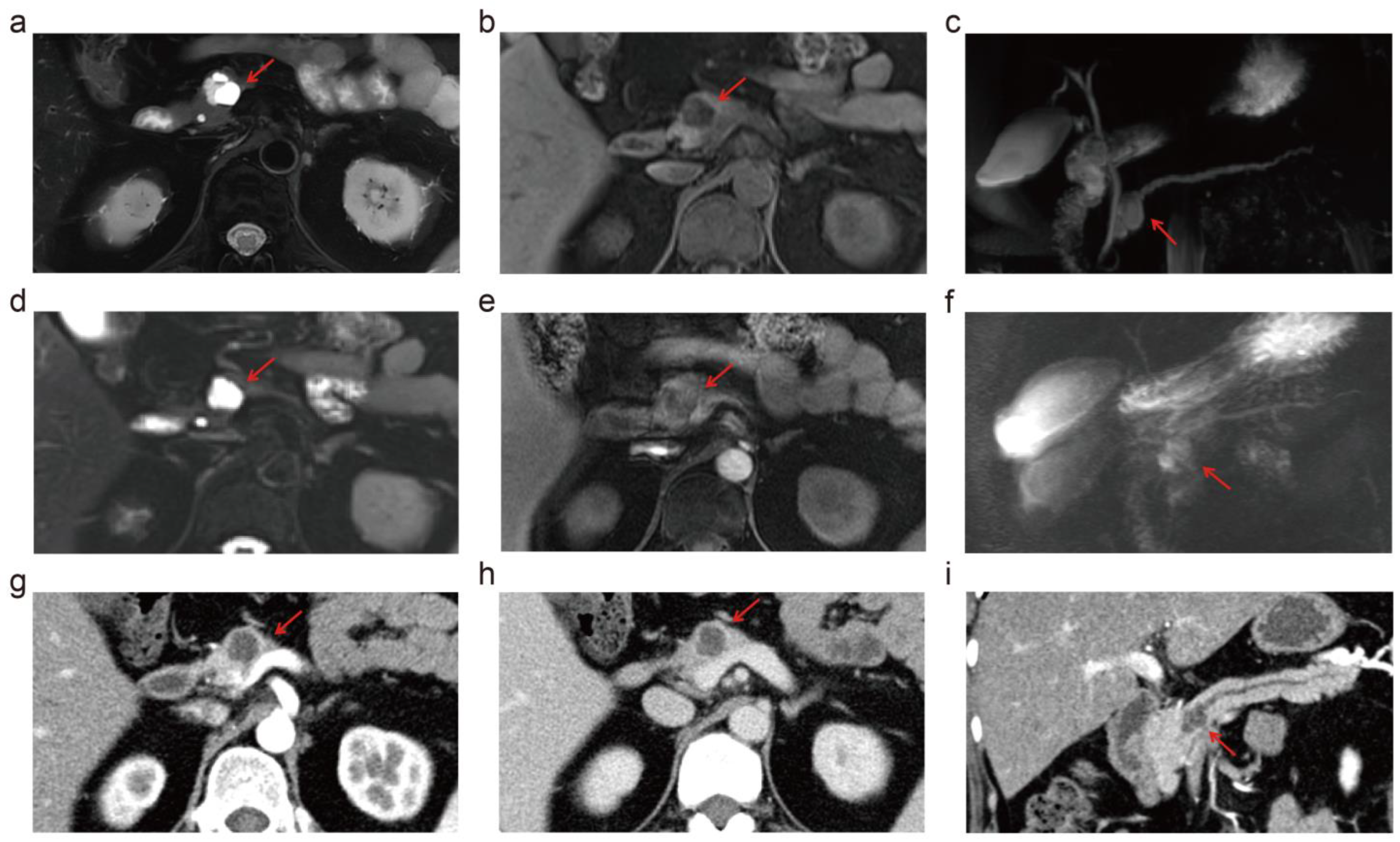 Diagnostics 14 02457 g005