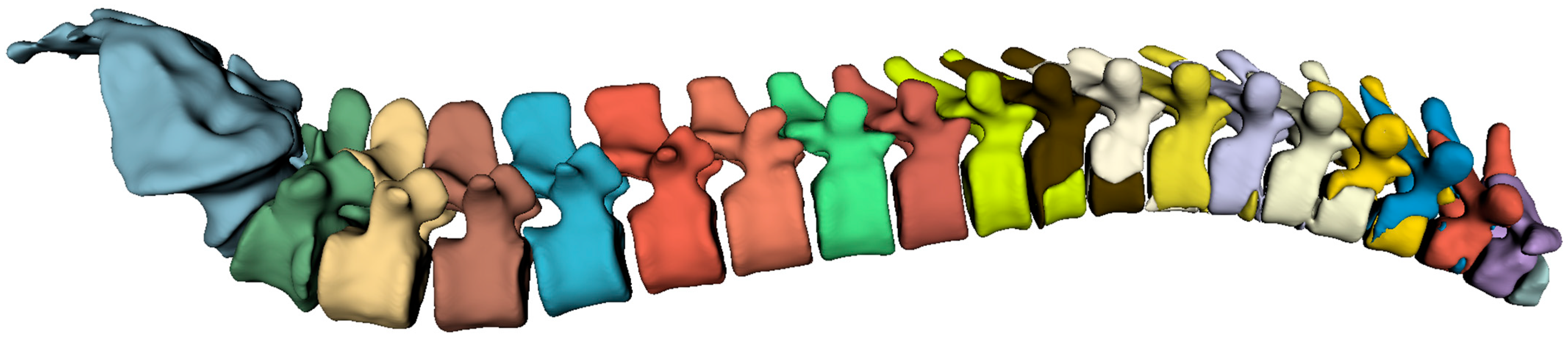 Diagnostics 14 02458 g003