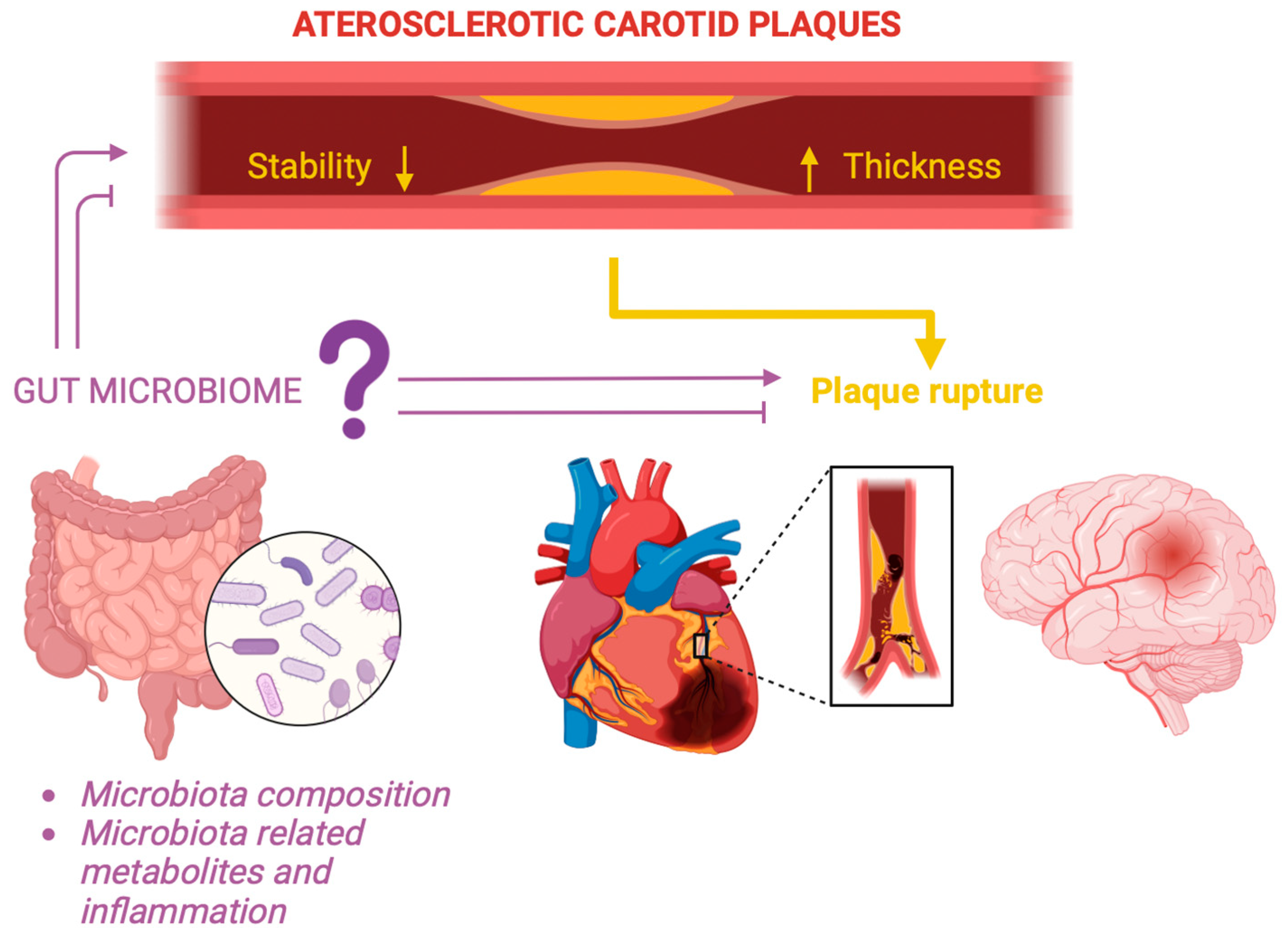Diagnostics 14 02463 g001
