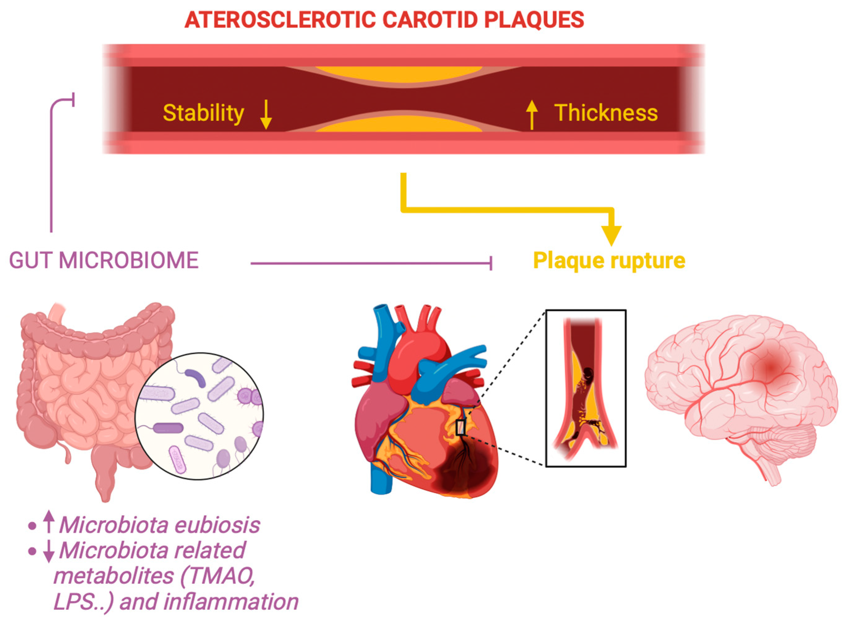 Diagnostics 14 02463 g002