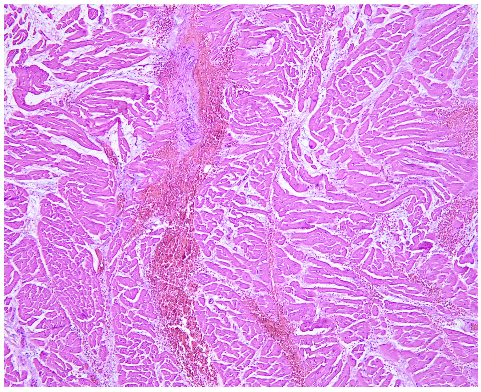 Diagnostics 14 02472 g006