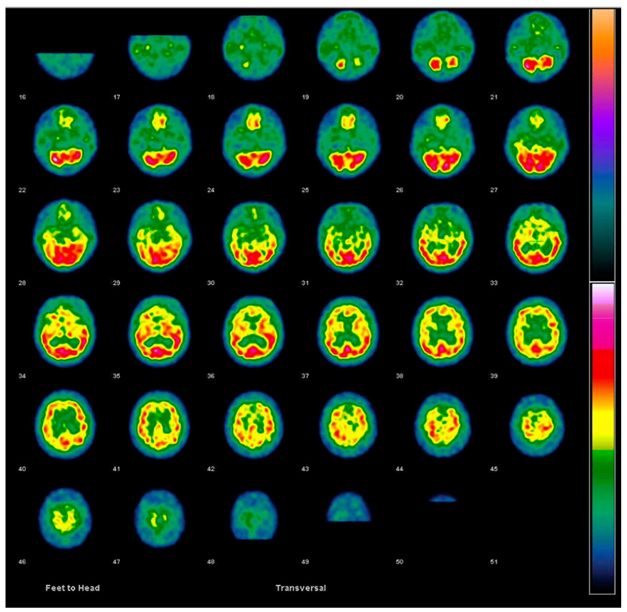 Diagnostics 14 02474 g001