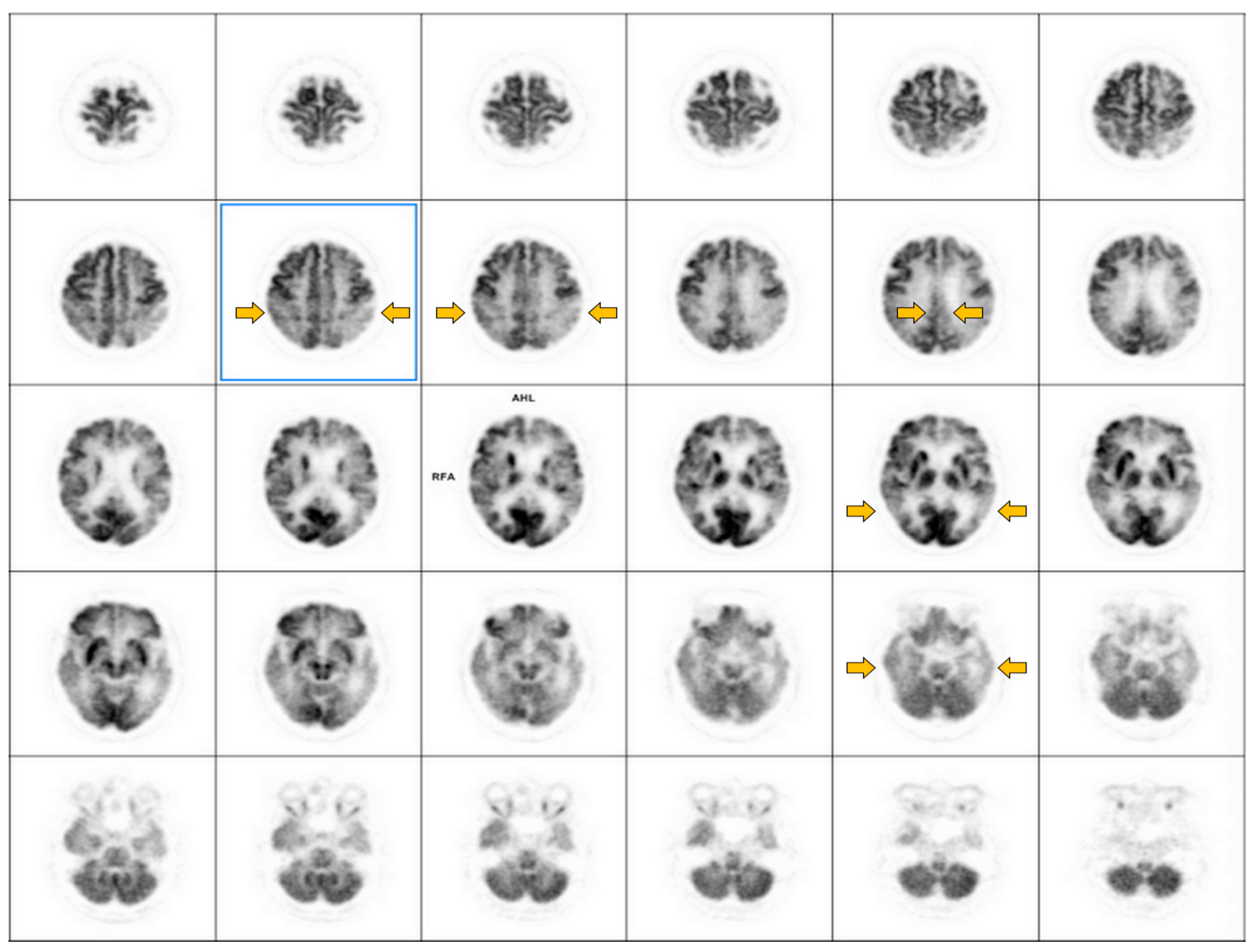 Diagnostics 14 02474 g002