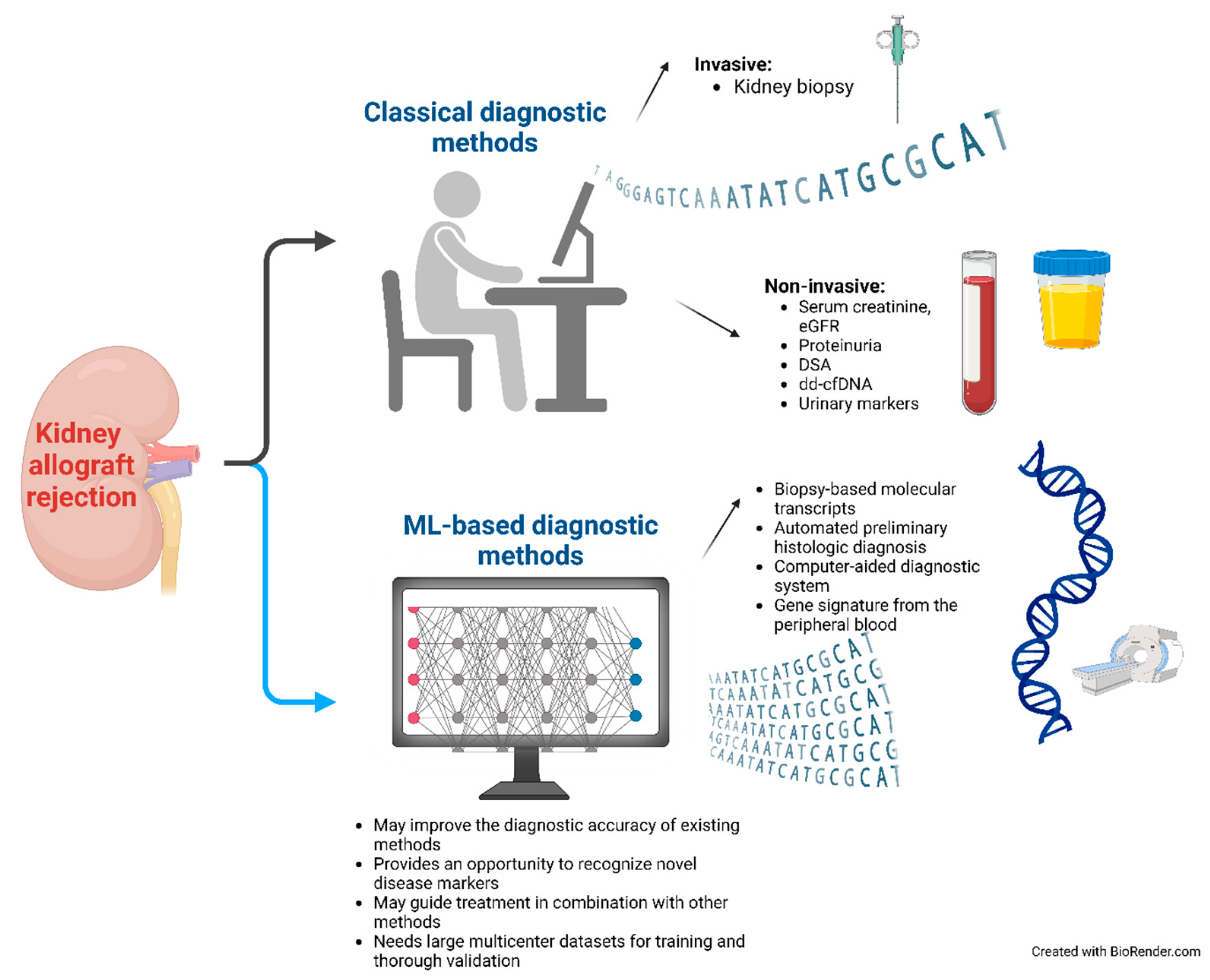 Diagnostics 14 02482 g001