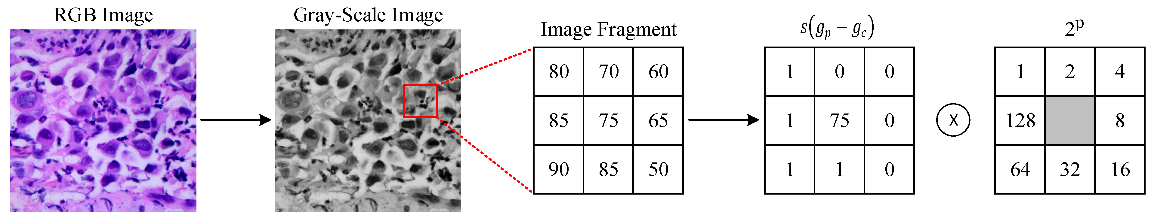 Diagnostics 14 02497 g003
