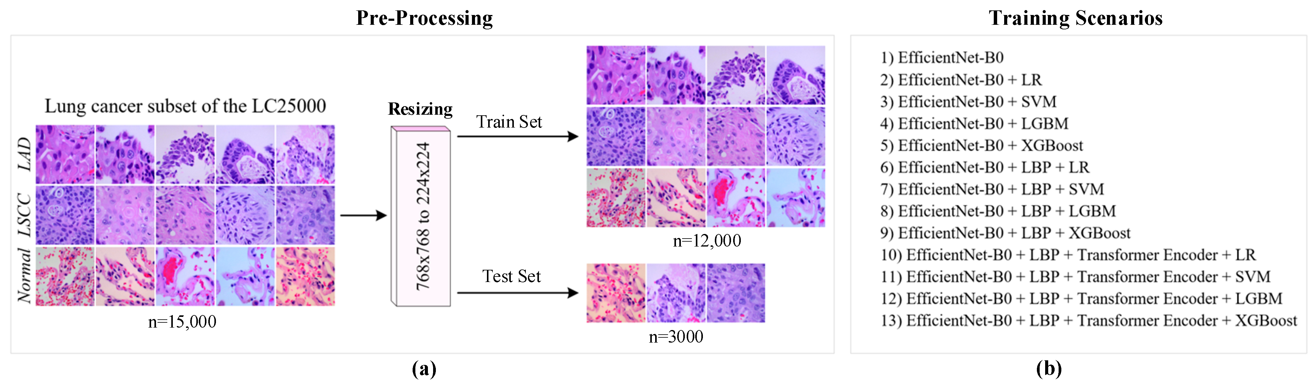 Diagnostics 14 02497 g006