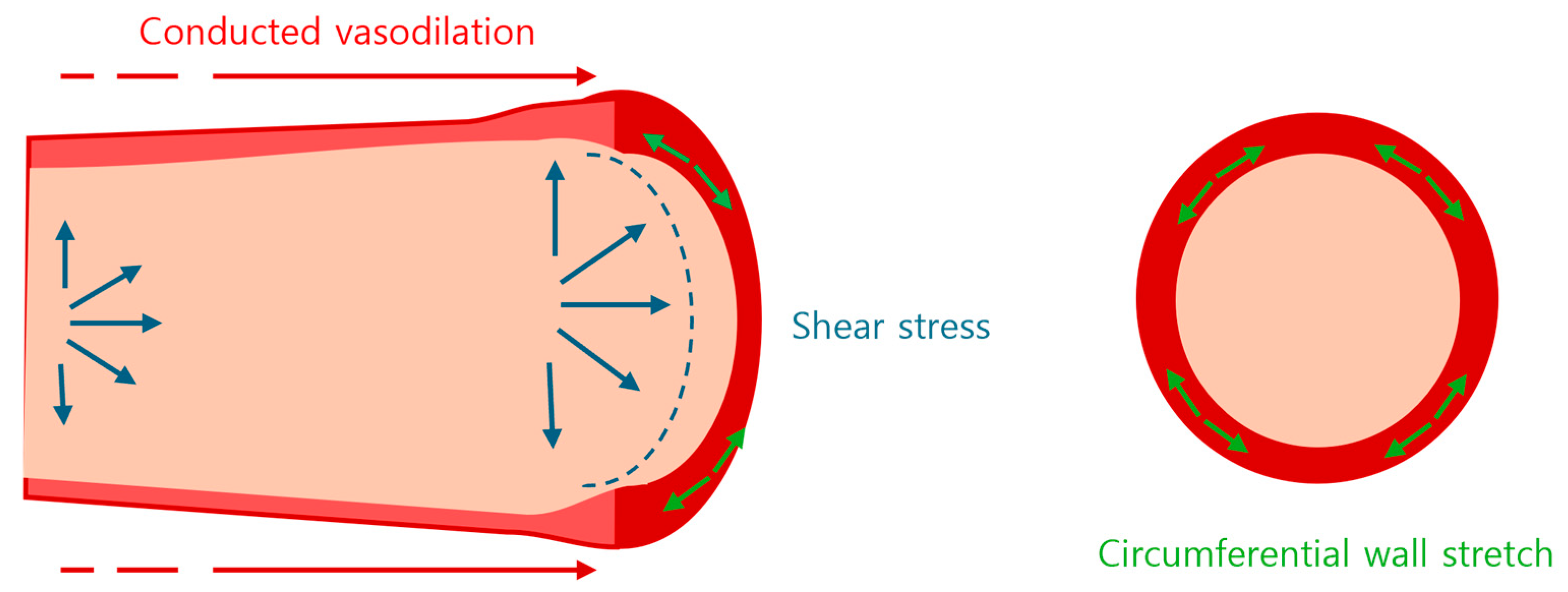 Diagnostics 14 02499 g001 Diagnostics 14 02499 g001