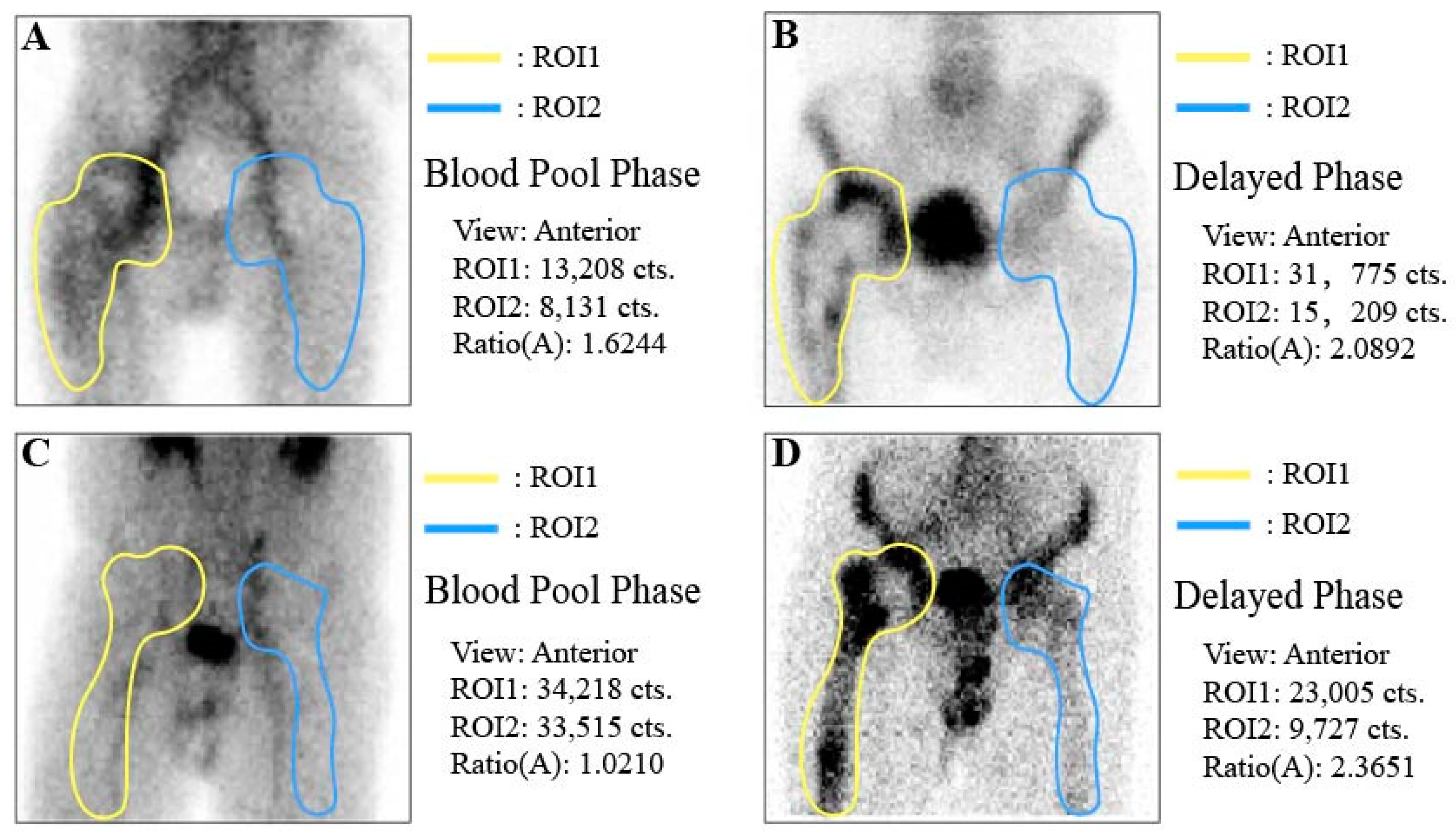 Diagnostics 14 02502 g003
