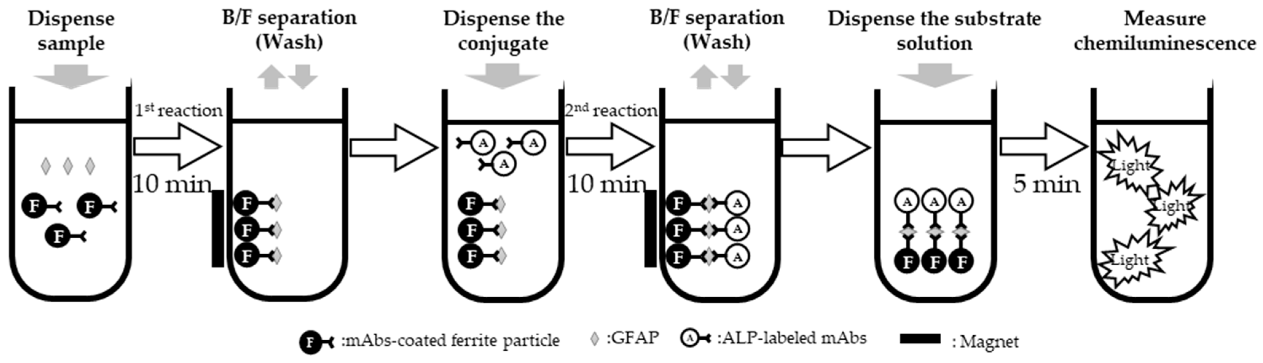 Diagnostics 14 02520 g001