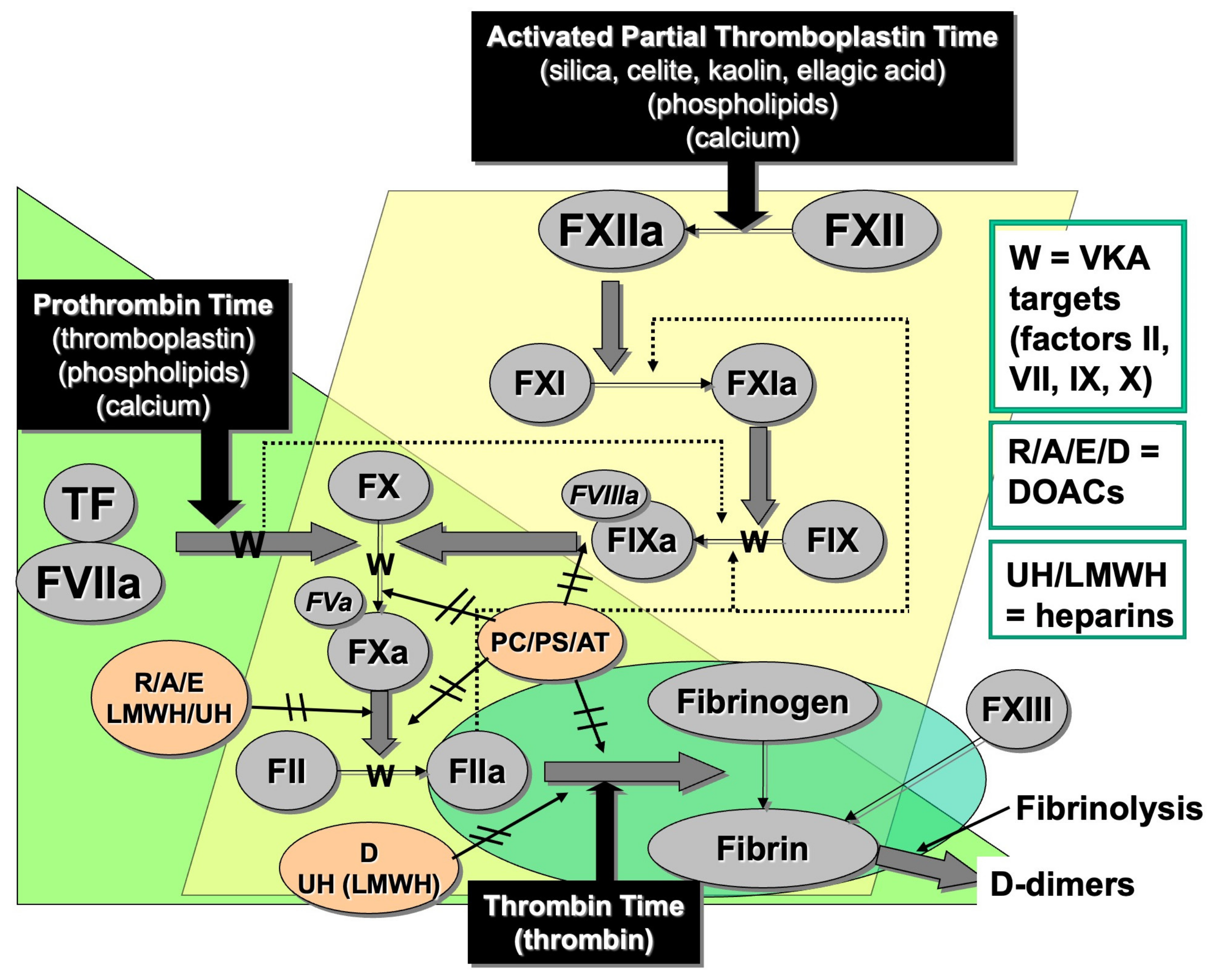 Diagnostics 14 02521 g001 Diagnostics 14 02521 g001