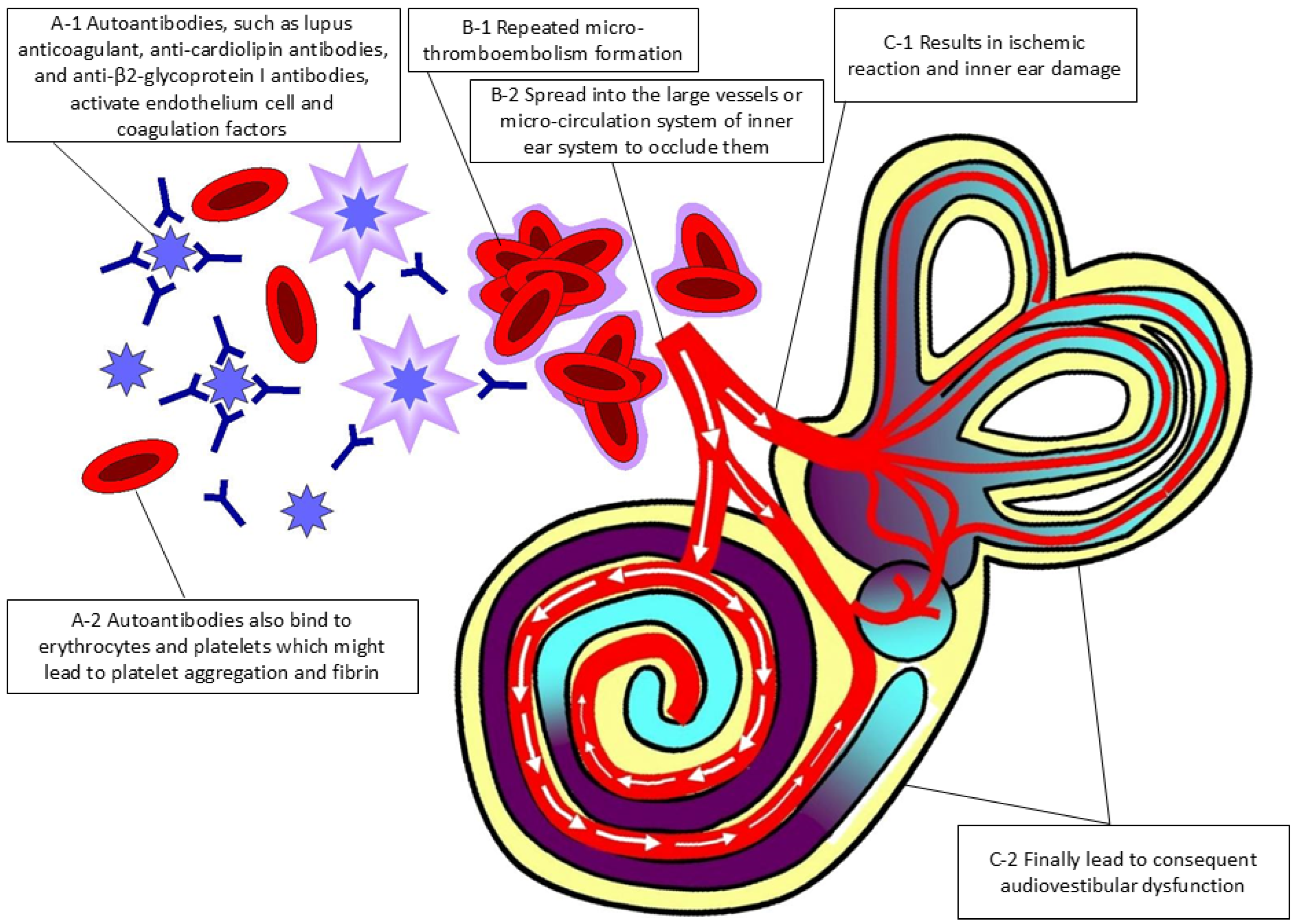 Diagnostics 14 02522 g002 Diagnostics 14 02522 g002