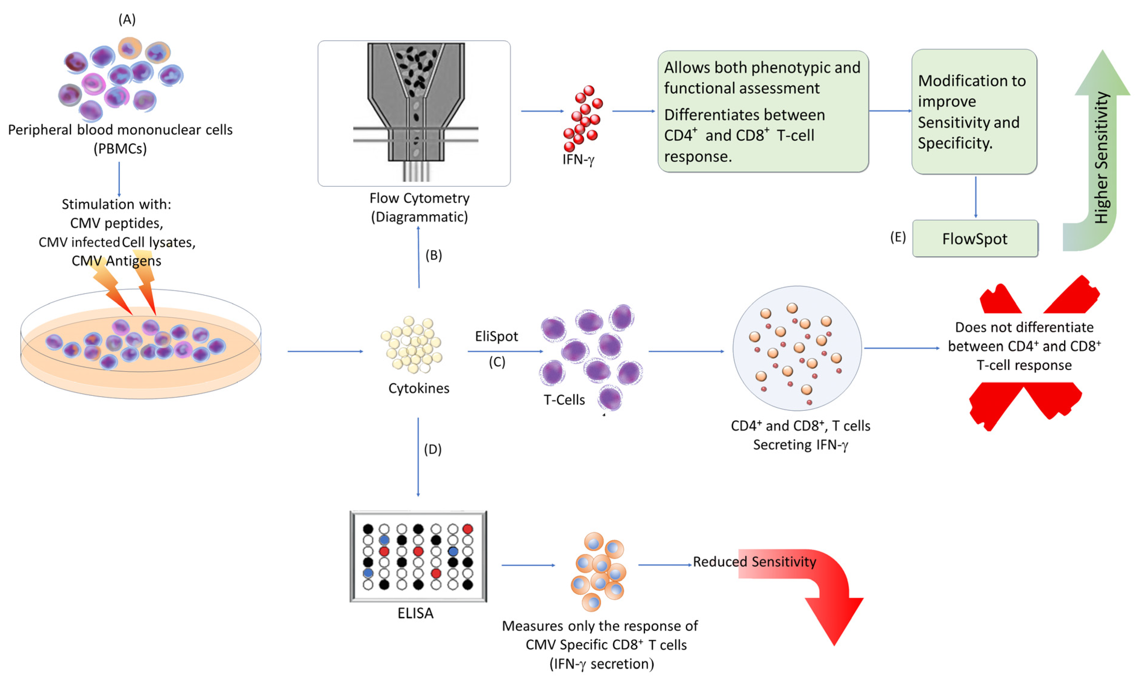 Diagnostics 14 02523 g002 Diagnostics 14 02523 g002