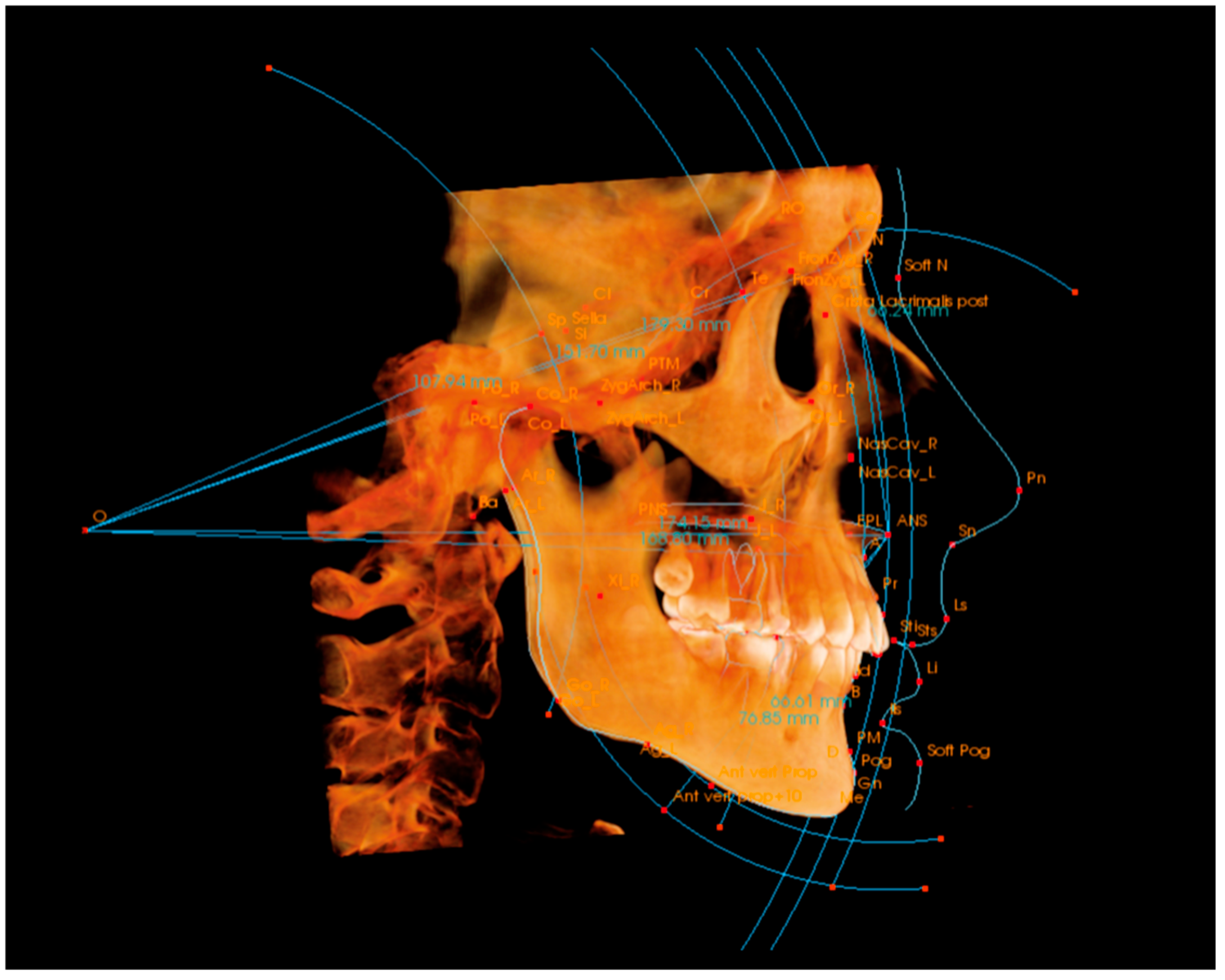 Diagnostics 14 02524 g001 Diagnostics 14 02524 g001